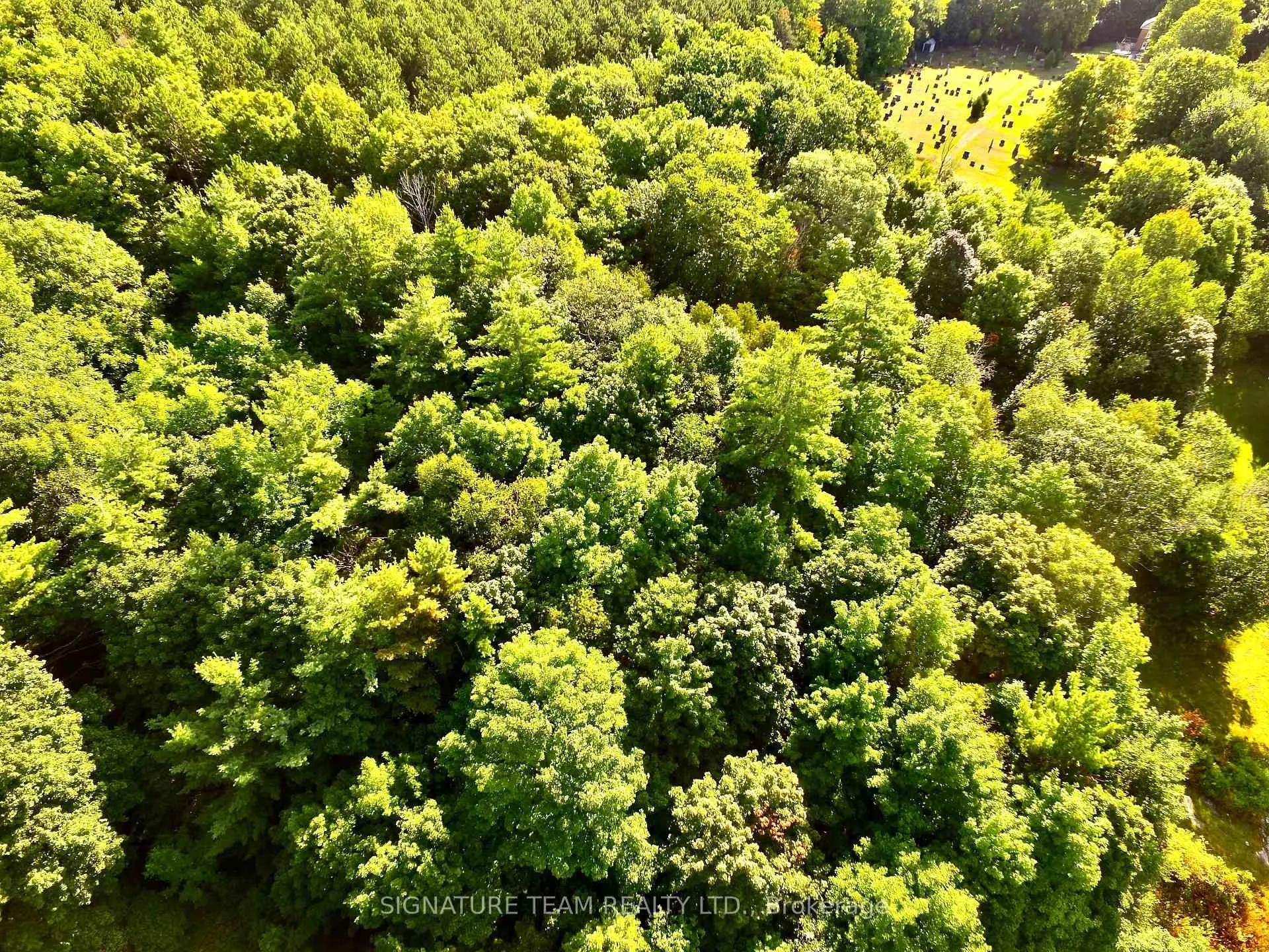 Photo 11 of Elgin Street, Bonnechere Valley, Eganville/Bonnechere Twp — HOMEH