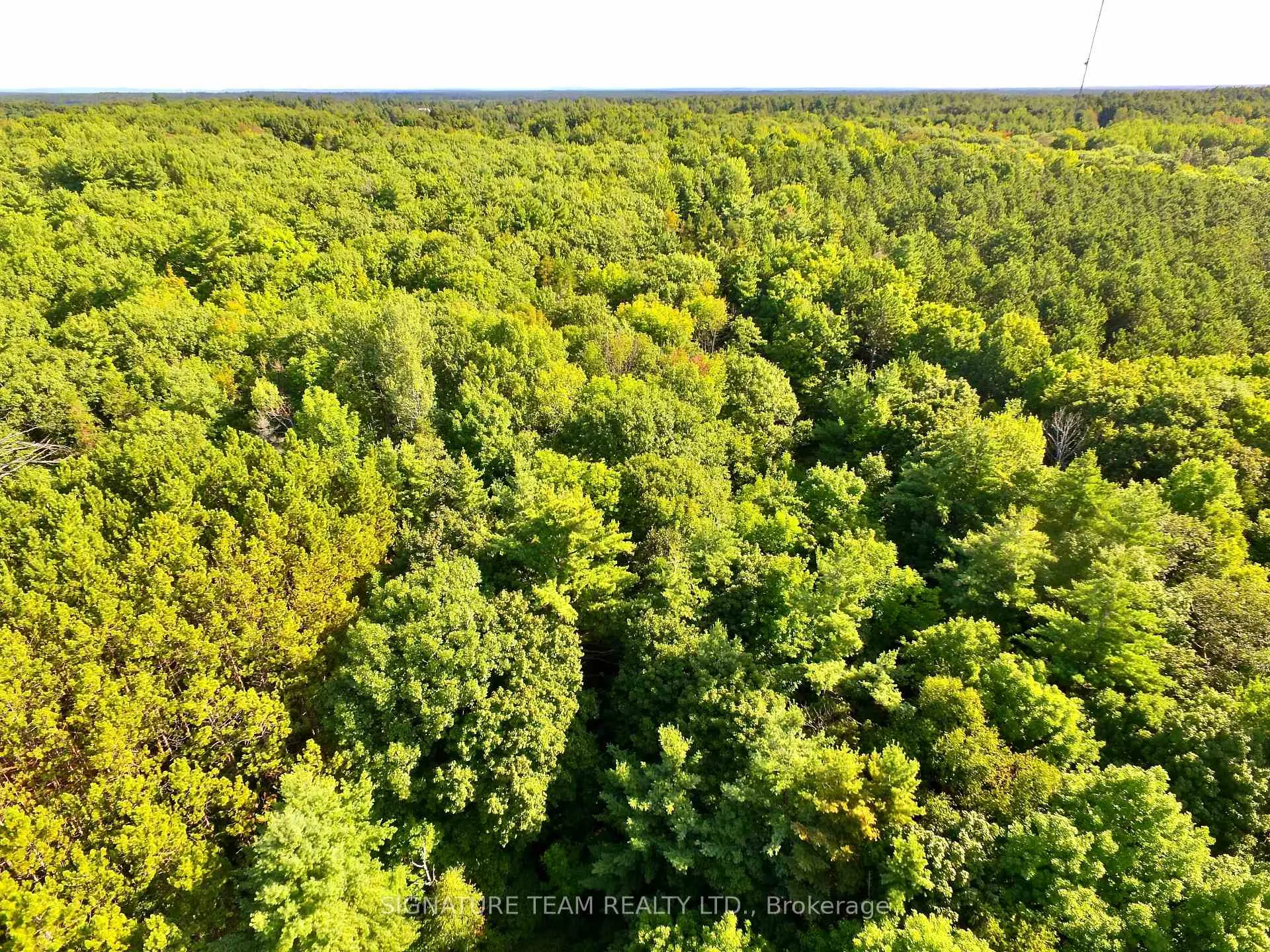 Photo 12 of Elgin Street, Bonnechere Valley, Eganville/Bonnechere Twp — HOMEH