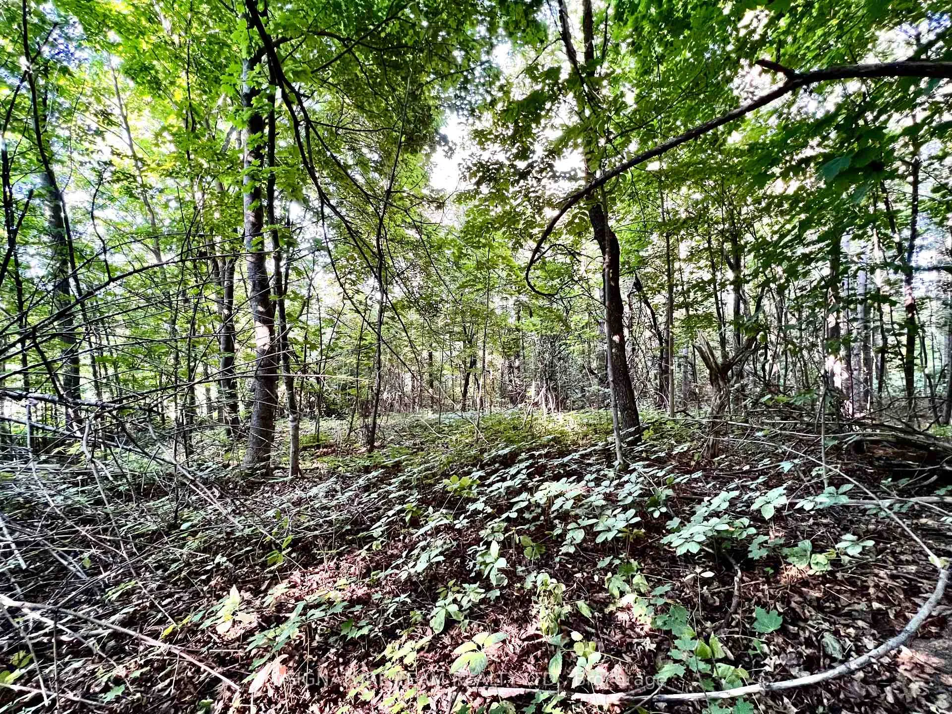 Photo 15 of Elgin Street, Bonnechere Valley, Eganville/Bonnechere Twp — HOMEH
