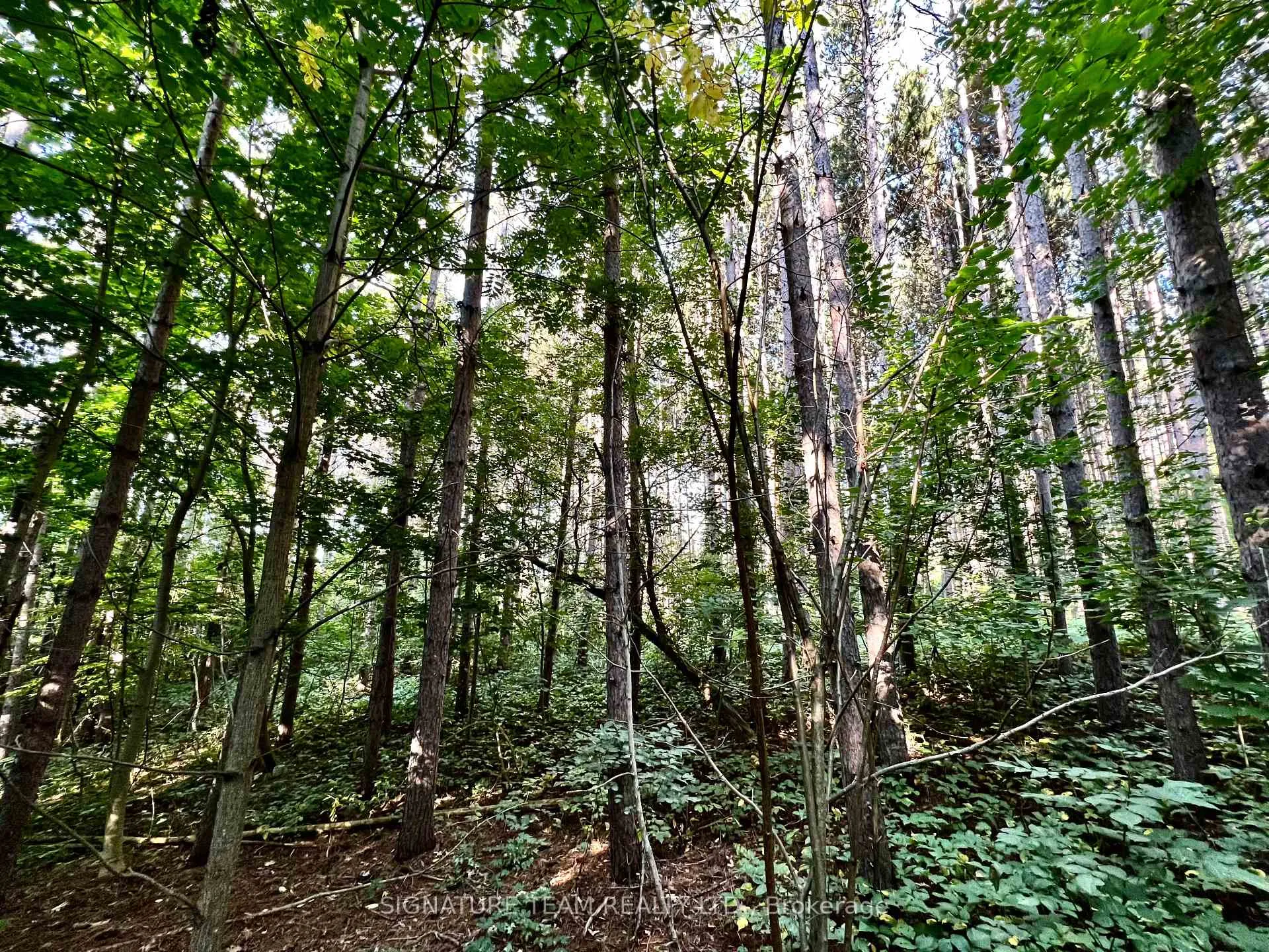Photo 17 of Elgin Street, Bonnechere Valley, Eganville/Bonnechere Twp — HOMEH