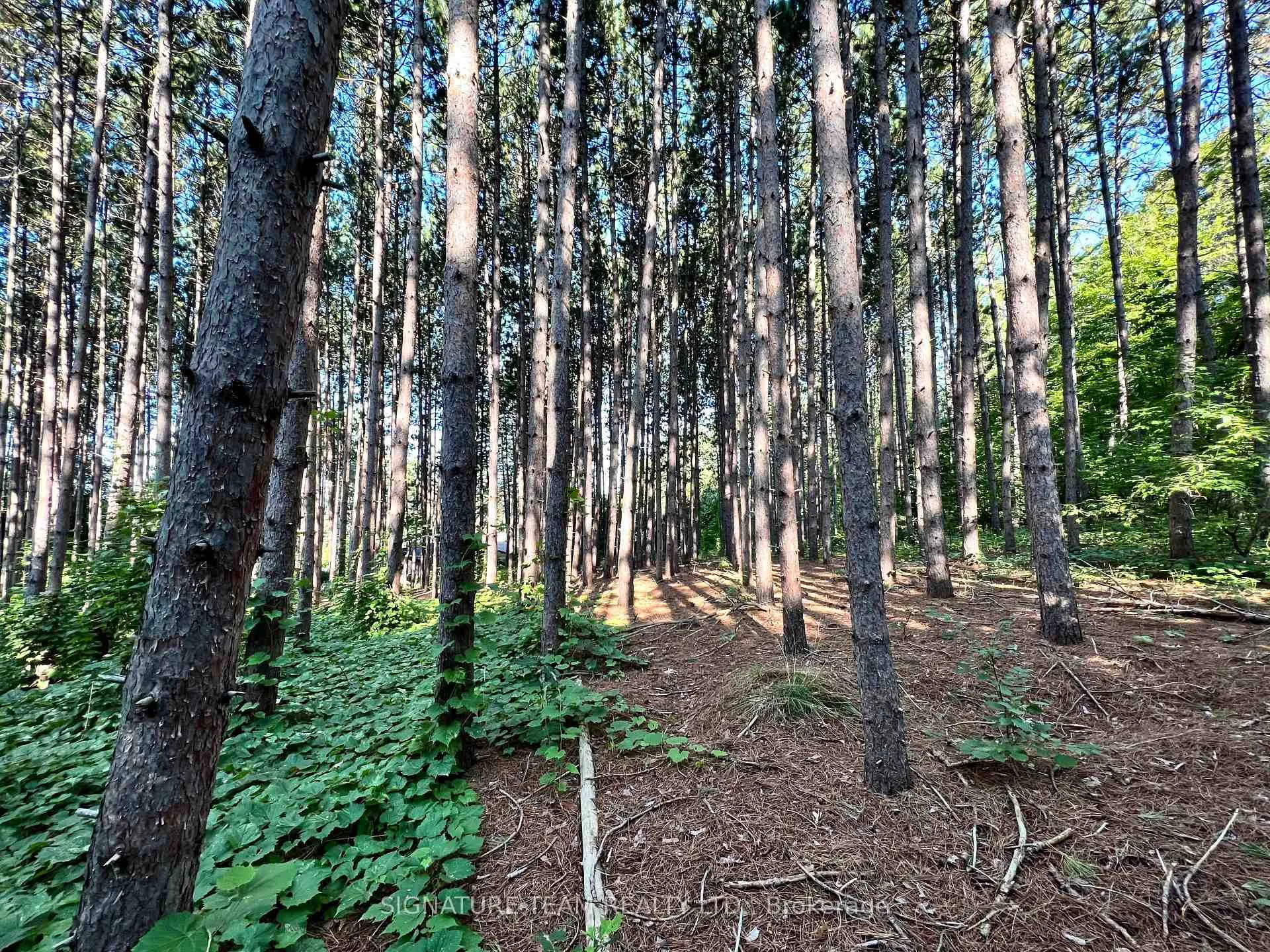 Photo 18 of Elgin Street, Bonnechere Valley, Eganville/Bonnechere Twp — HOMEH