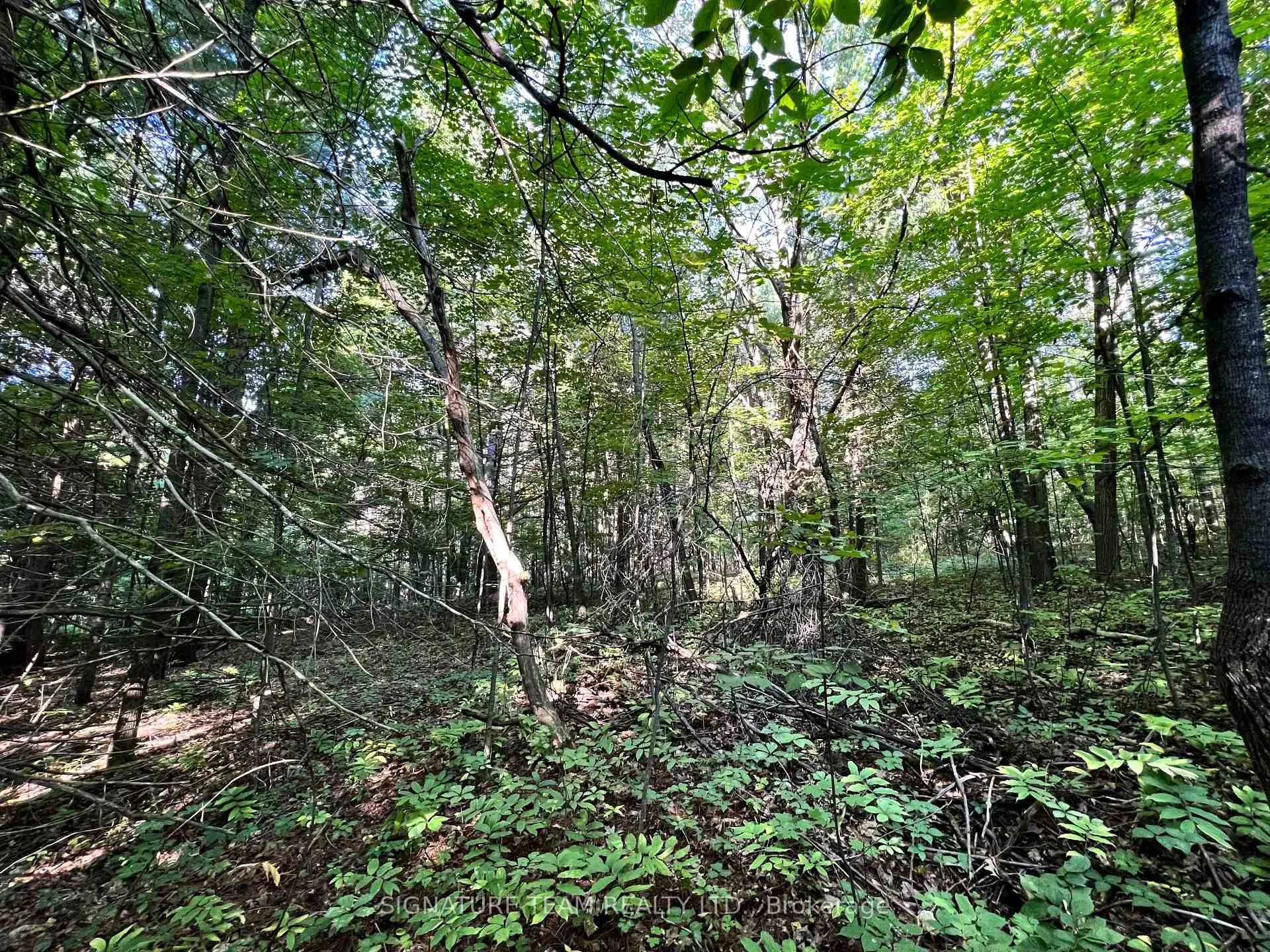 Photo 20 of Elgin Street, Bonnechere Valley, Eganville/Bonnechere Twp — HOMEH