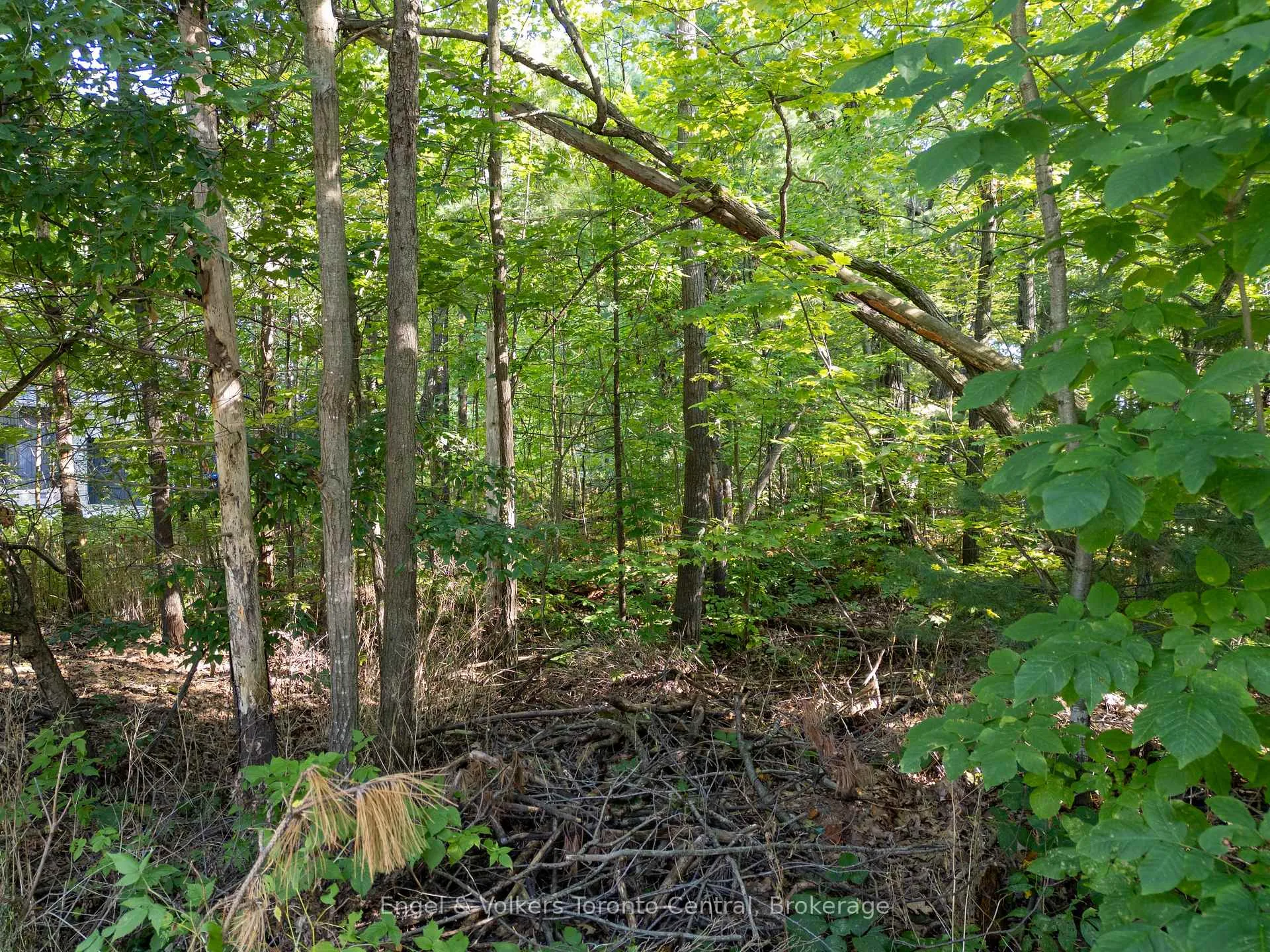 Photo 3 of 173 Wildwood Drive, Wasaga Beach — HOMEH