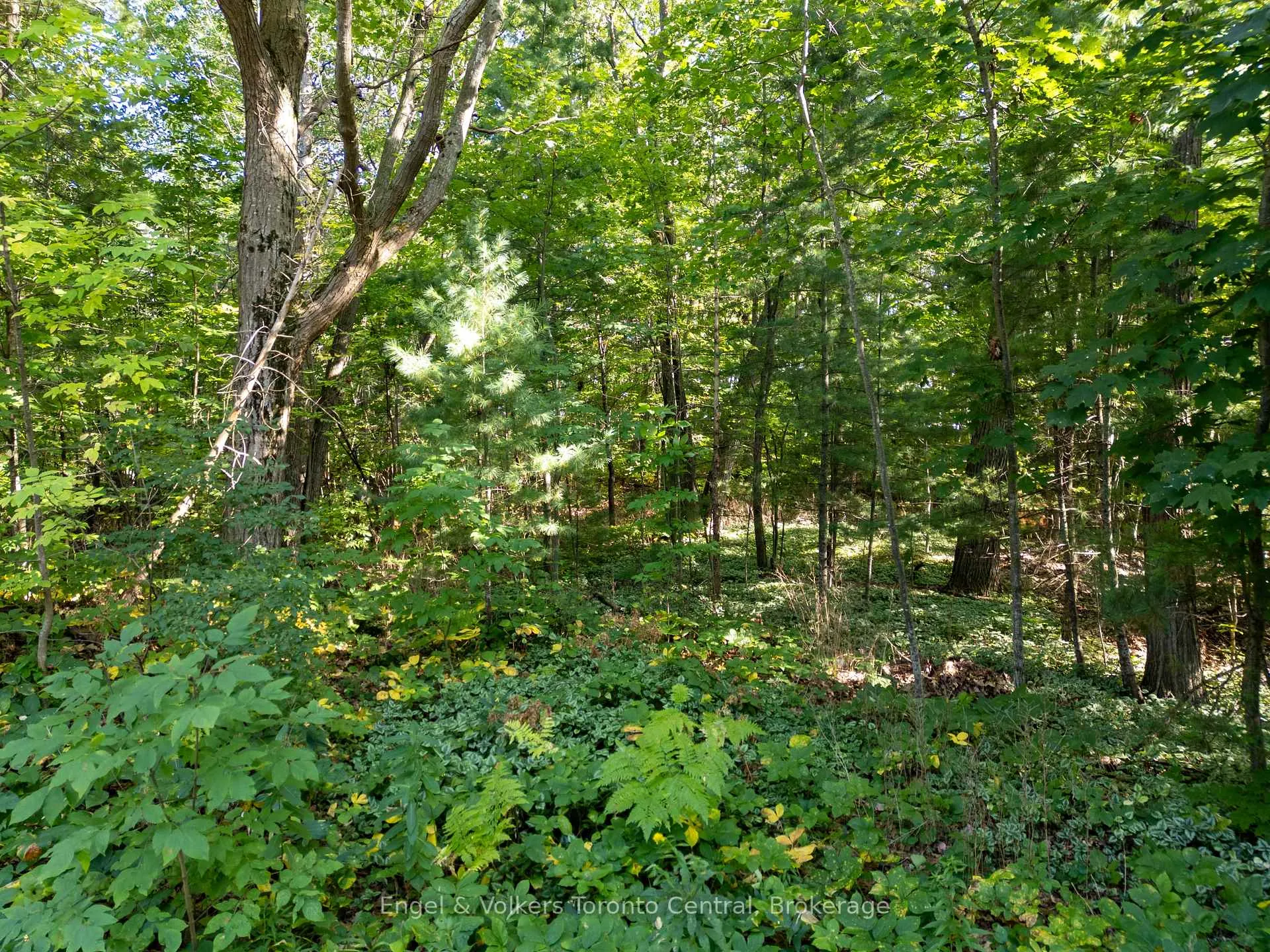 Photo 4 of 173 Wildwood Drive, Wasaga Beach — HOMEH