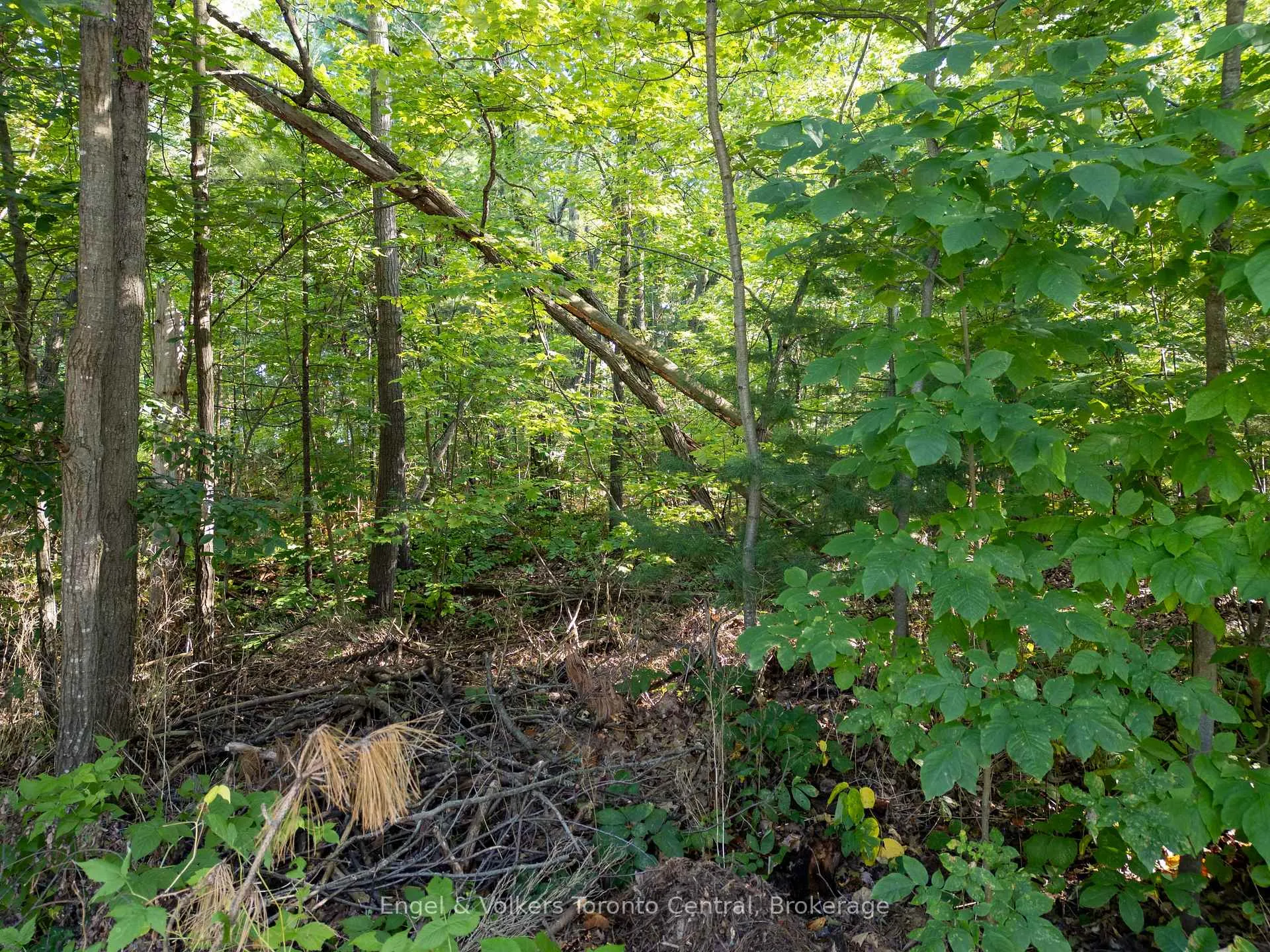 Photo 5 of 173 Wildwood Drive, Wasaga Beach — HOMEH