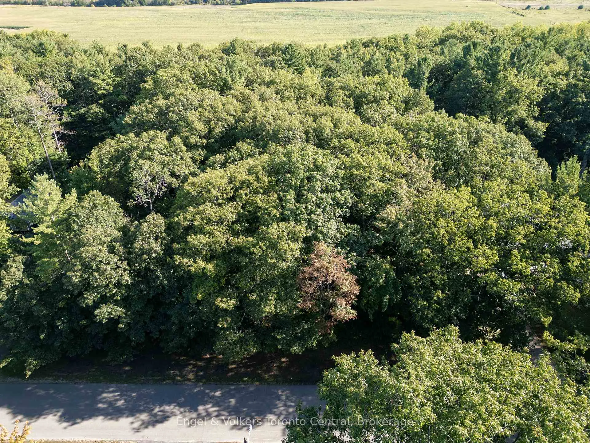 Photo 6 of 173 Wildwood Drive, Wasaga Beach — HOMEH