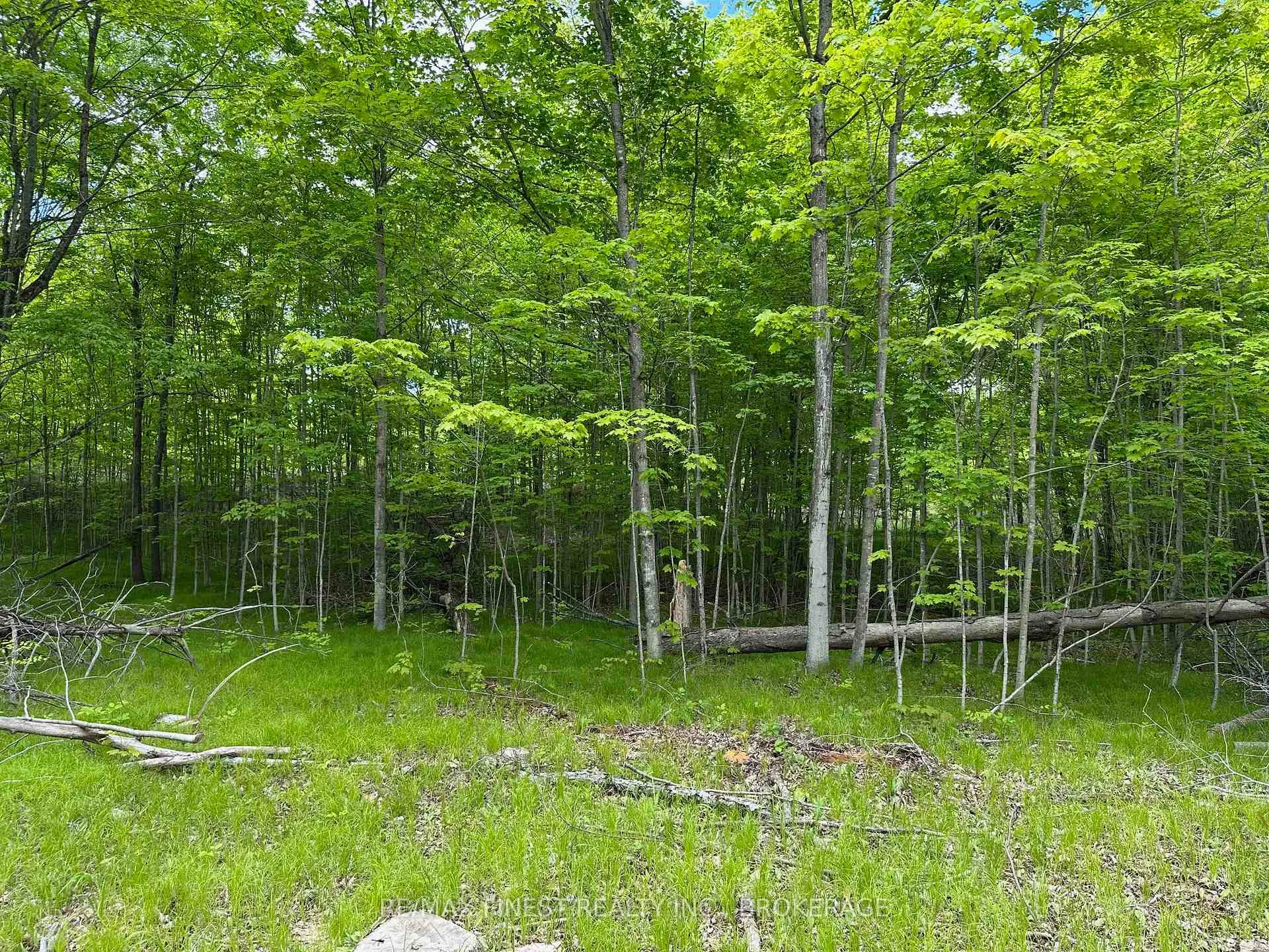 Photo 4 of 17158 Road 509, Frontenac, Frontenac Centre — HOMEH