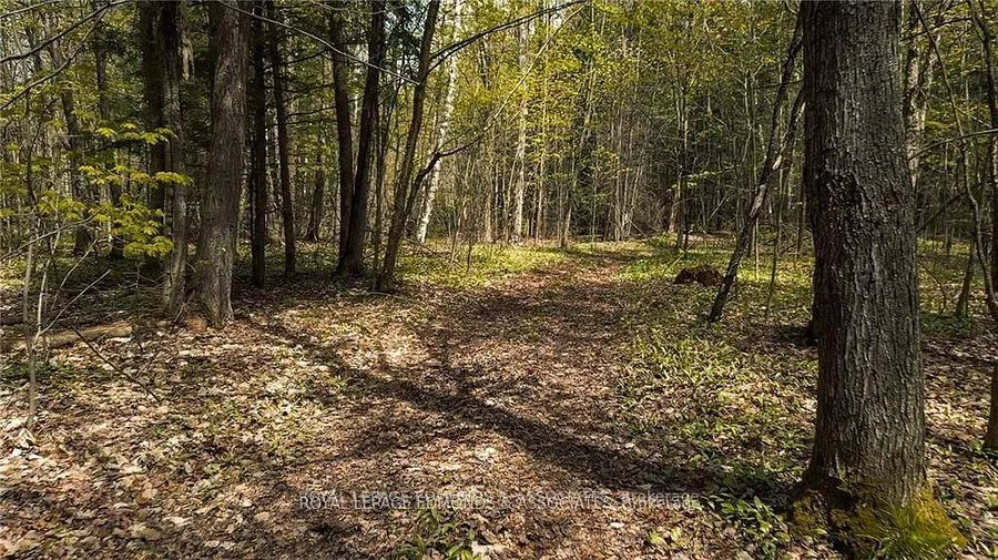 Photo 2 of 00 Old Mine Road, Admaston/Bromley, Admaston/Bromley — HOMEH