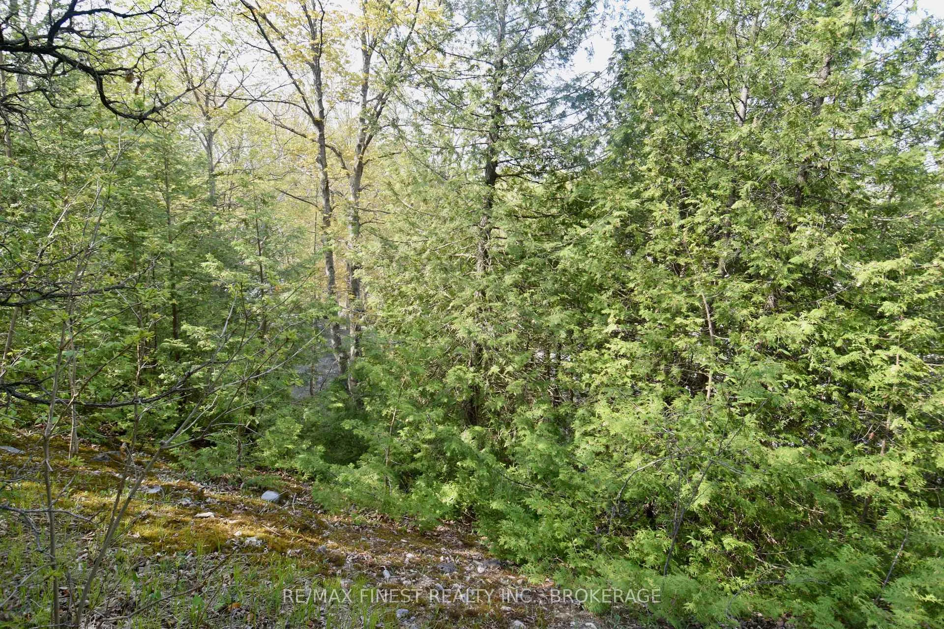 Photo 3 of 20B Ballantra Drive, Stone Mills — HOMEH