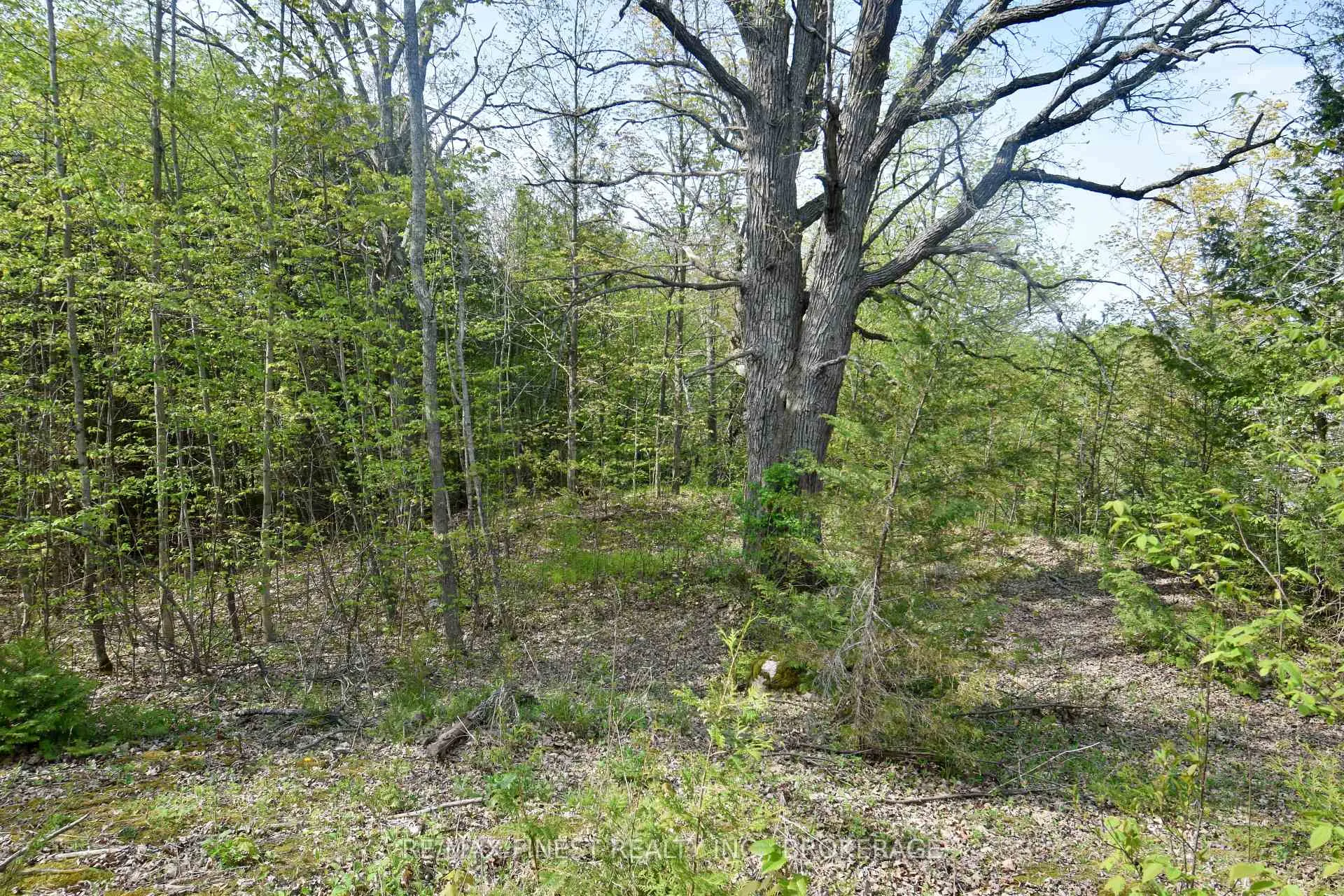 Photo 4 of 20B Ballantra Drive, Stone Mills — HOMEH