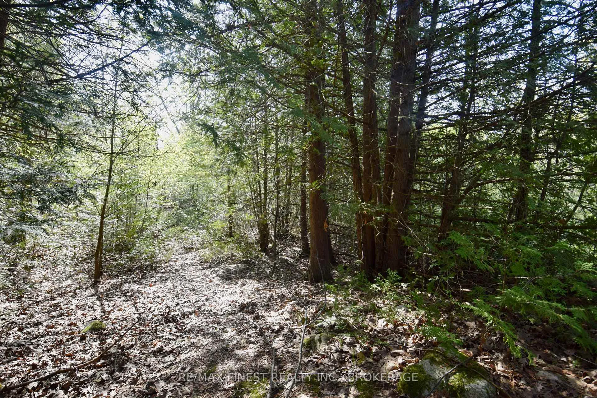 Photo 10 of 20B Ballantra Drive, Stone Mills — HOMEH