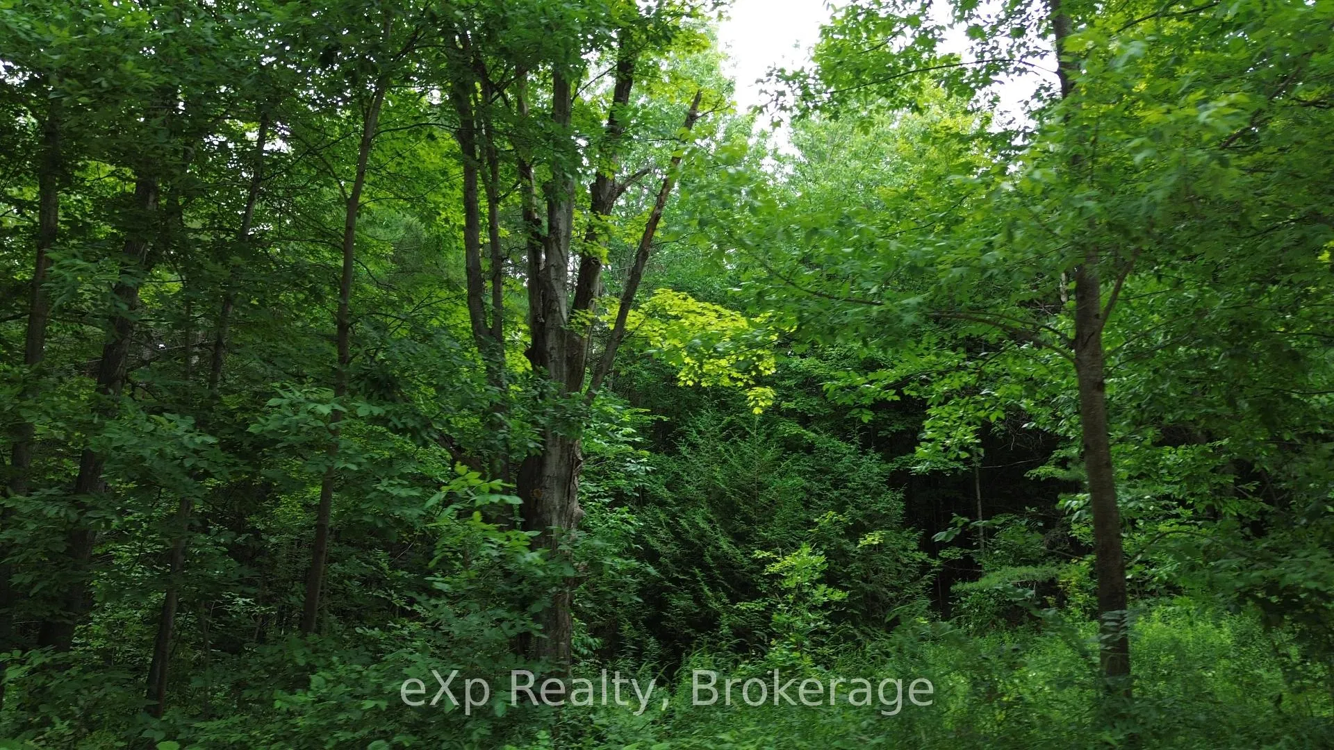 Photo 1 of 720227 Sideroad 20 Side Road, Chatsworth — HOMEH