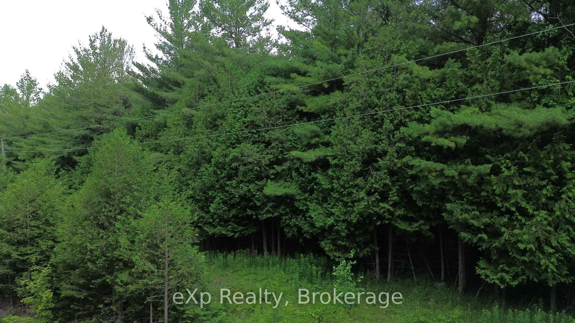 Photo 6 of 720227 Sideroad 20 Side Road, Chatsworth — HOMEH