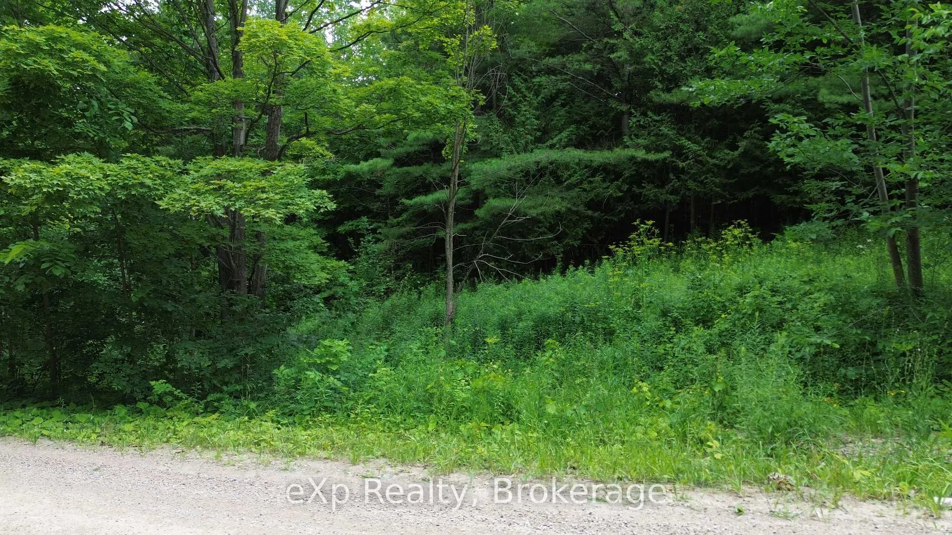 Photo 8 of 720227 Sideroad 20 Side Road, Chatsworth — HOMEH