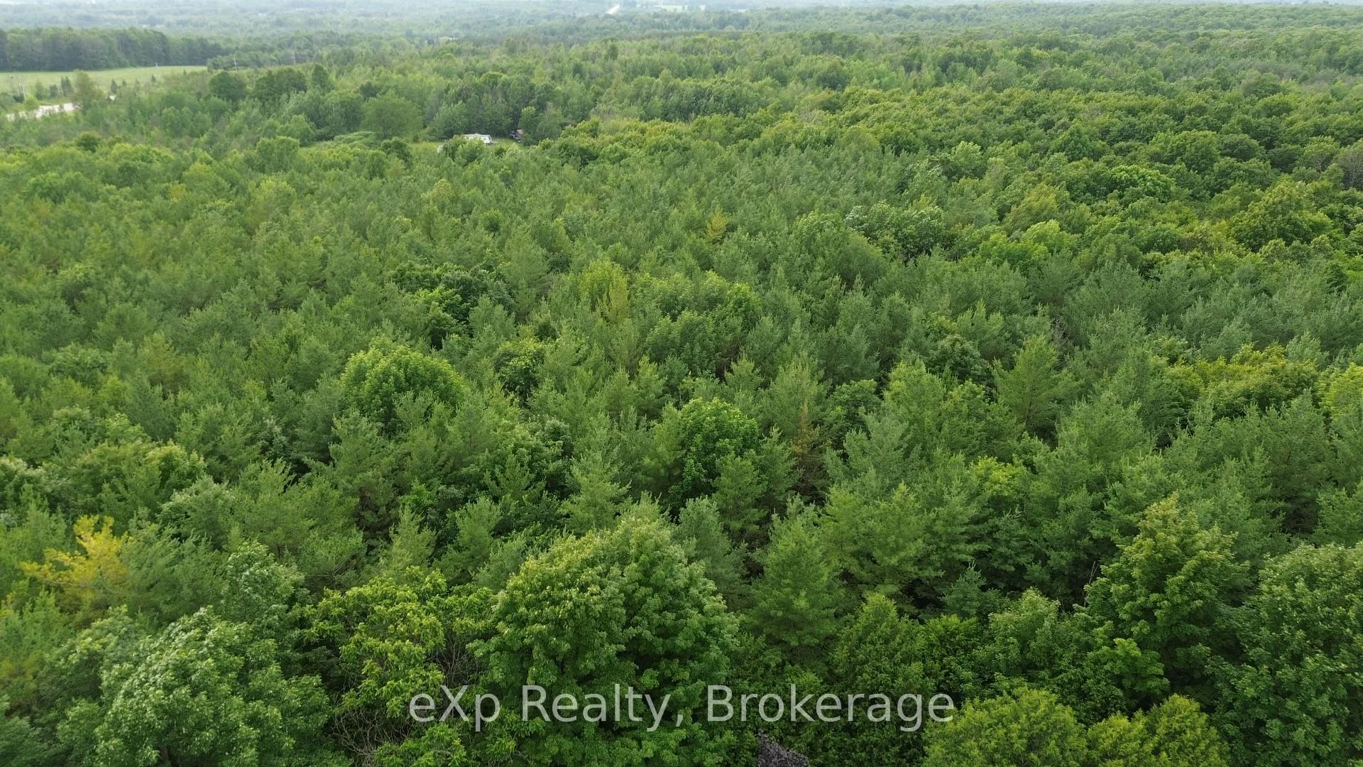Photo 9 of 720227 Sideroad 20 Side Road, Chatsworth — HOMEH