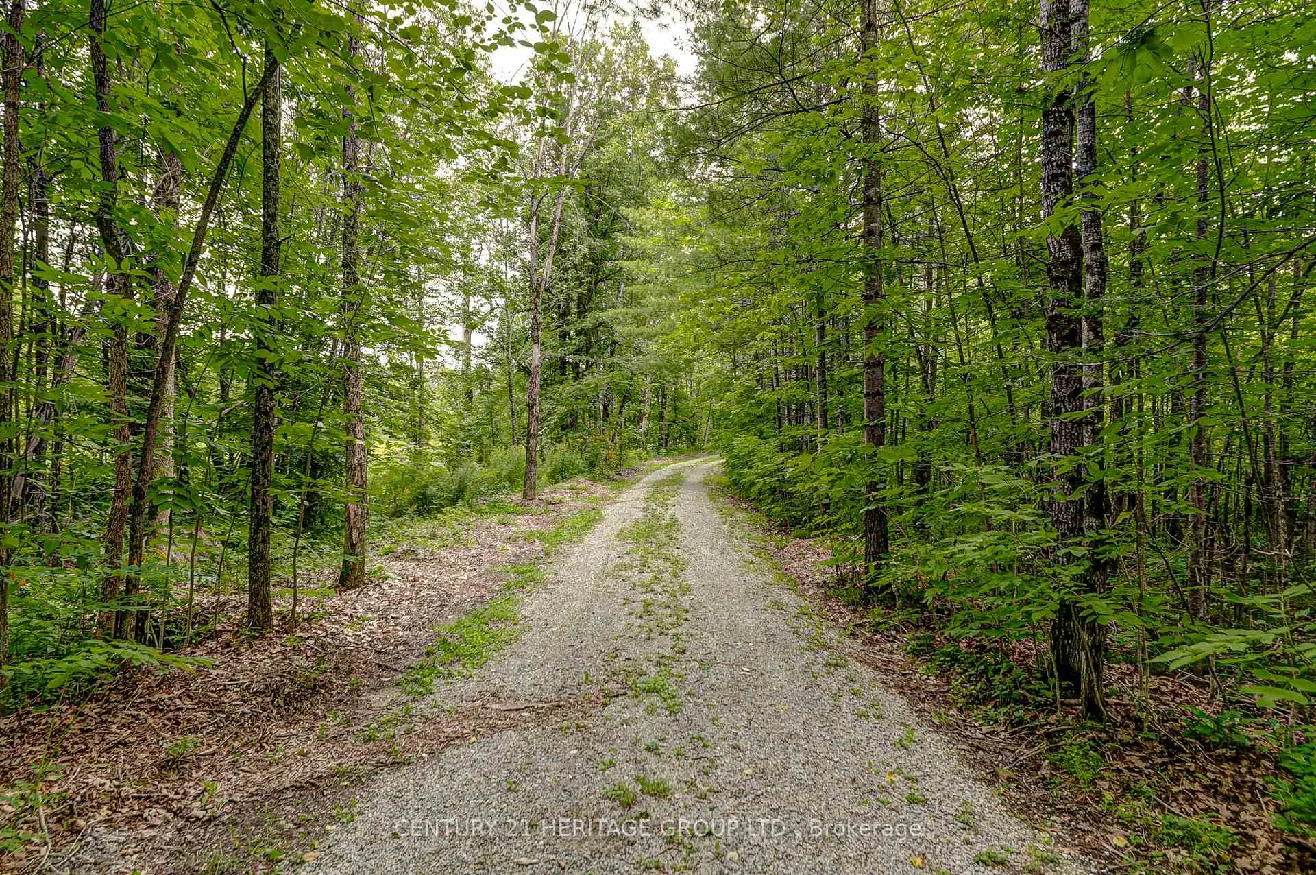 Photo 4 of 4411 Upper Big Chute Road, Severn, Rural Severn — HOMEH