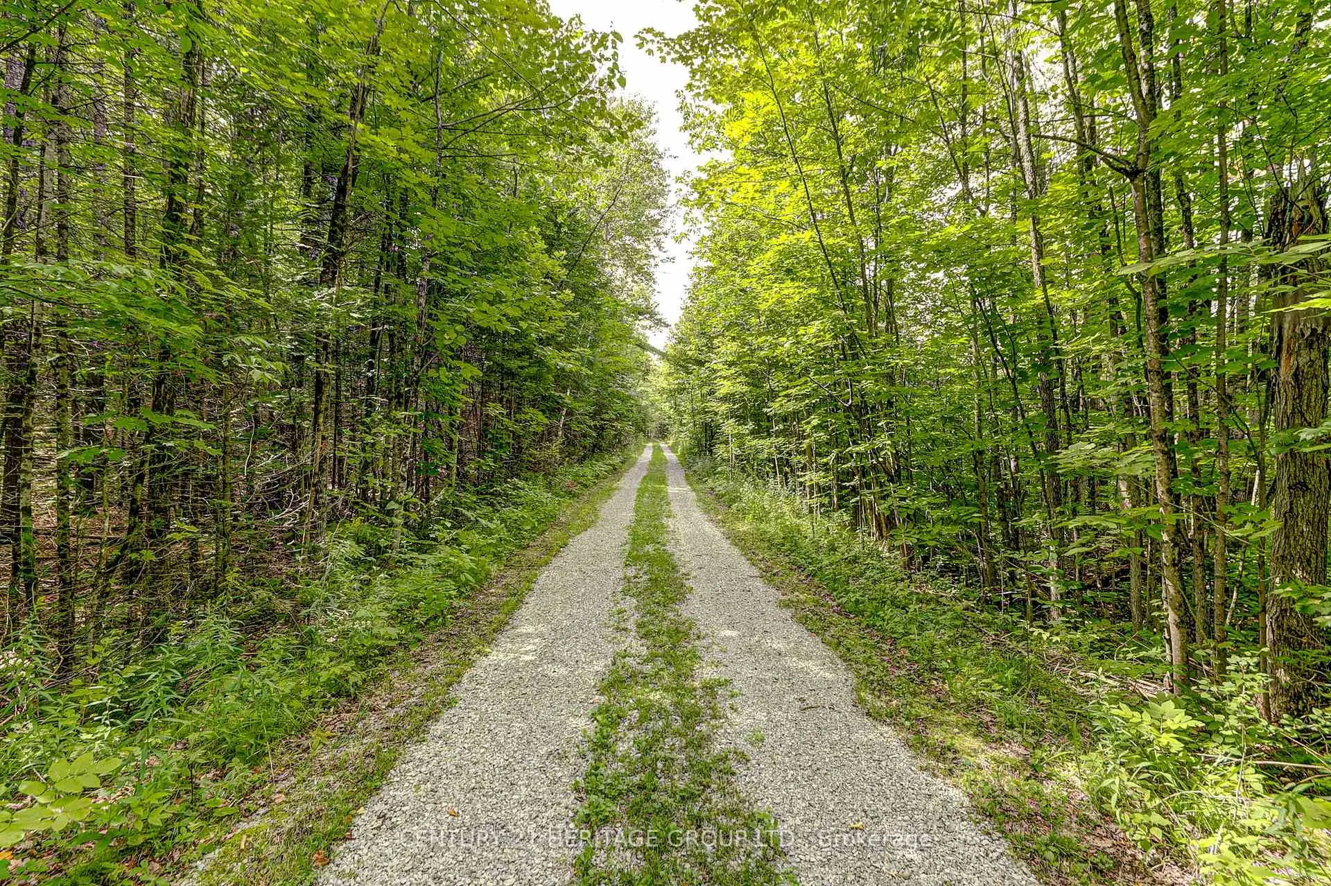 Photo 29 of 4411 Upper Big Chute Road, Severn, Rural Severn — HOMEH