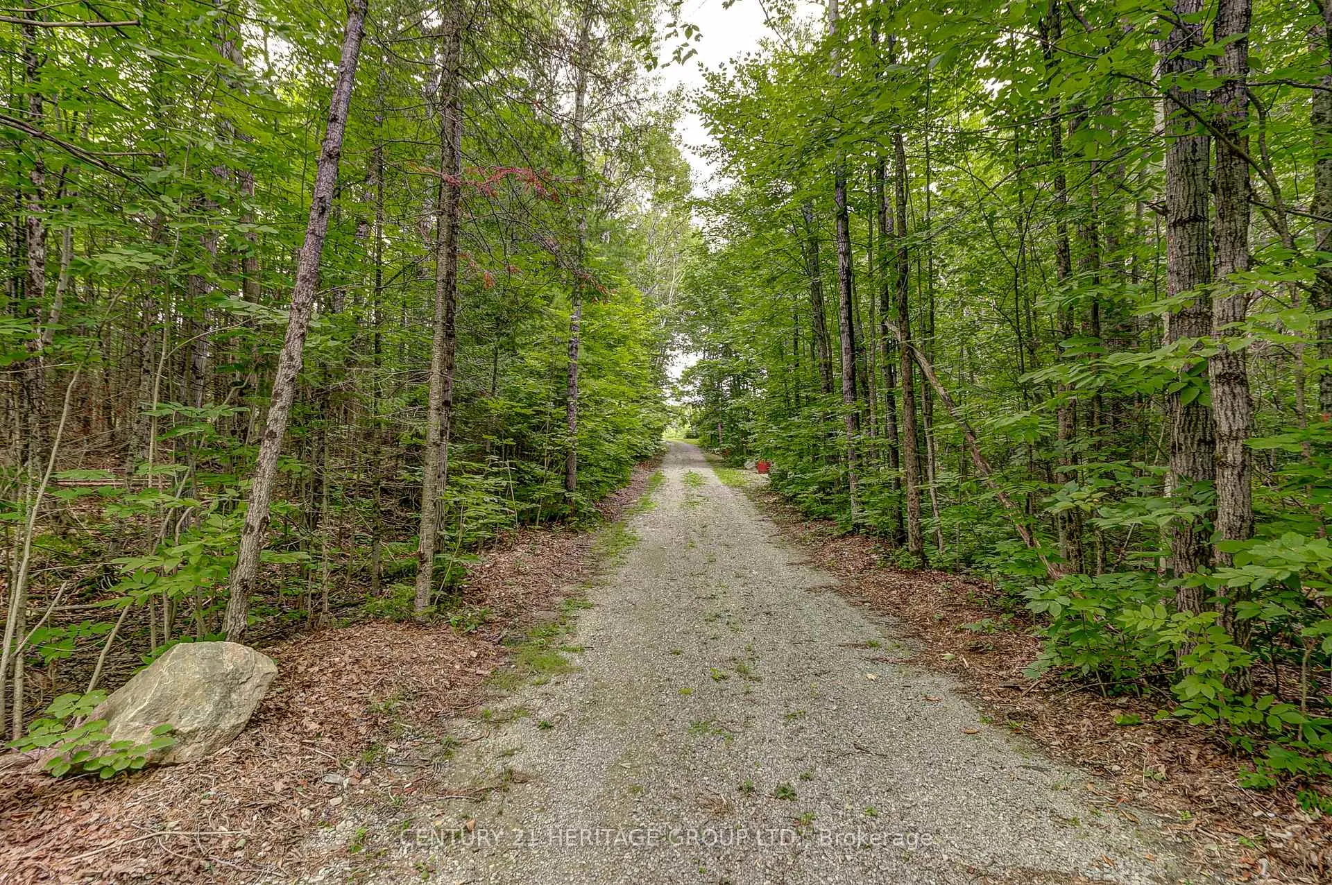 Photo 37 of 4411 Upper Big Chute Road, Severn, Rural Severn — HOMEH