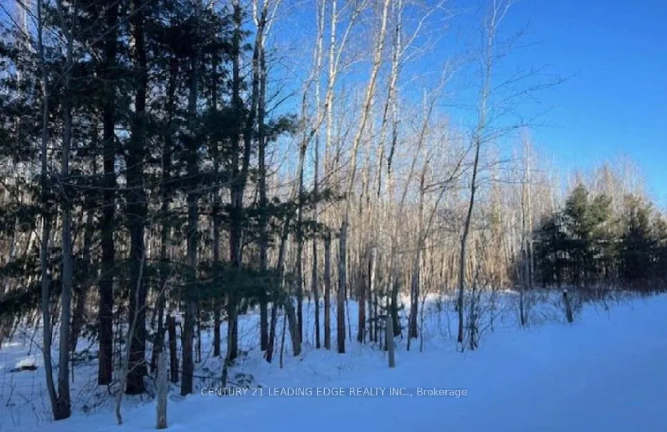 Photo 7 of 3492 12/13 Side Road, Clearview, New Lowell — HOMEH