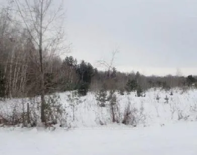 Photo 13 of 3492 12/13 Side Road, Clearview, New Lowell — HOMEH