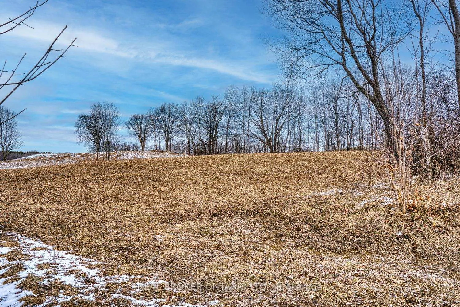 Photo 5 of 316486 6 Highway, Chatsworth — HOMEH