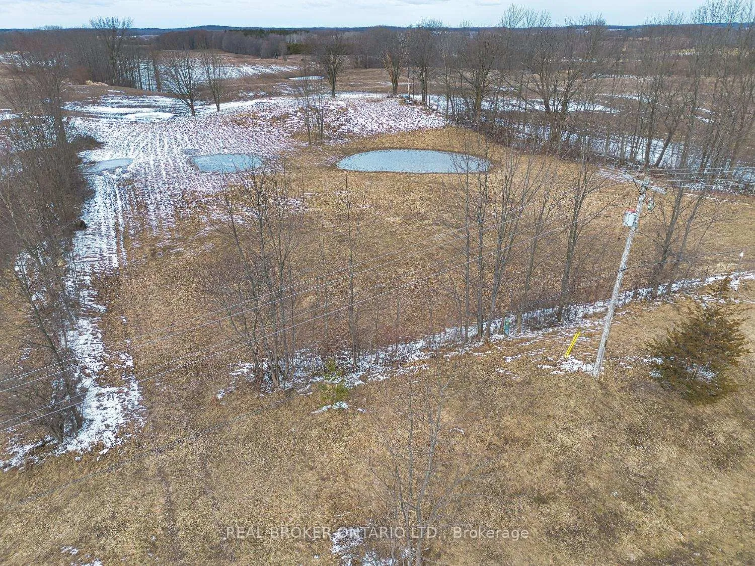 Photo 9 of 316486 6 Highway, Chatsworth — HOMEH