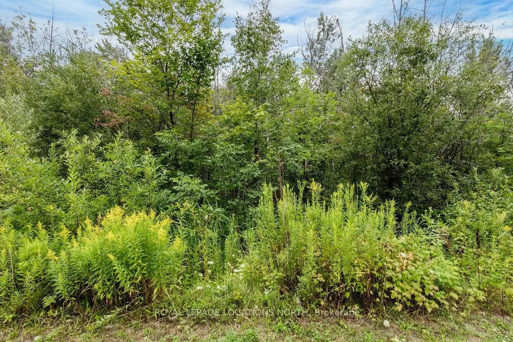 Photo 4 of Lot 25 Robinson Road, Wasaga Beach — HOMEH