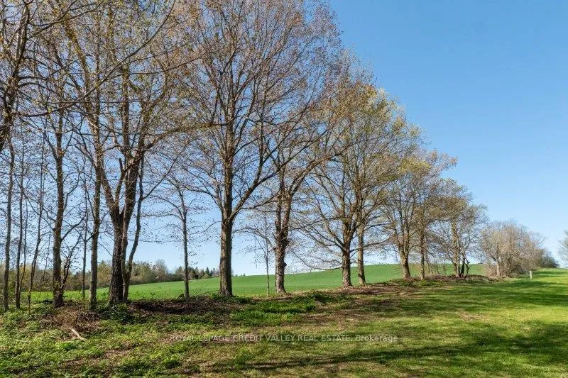 Photo 7 of 15719 Shaws Creek Road, Caledon, Rural Caledon — HOMEH