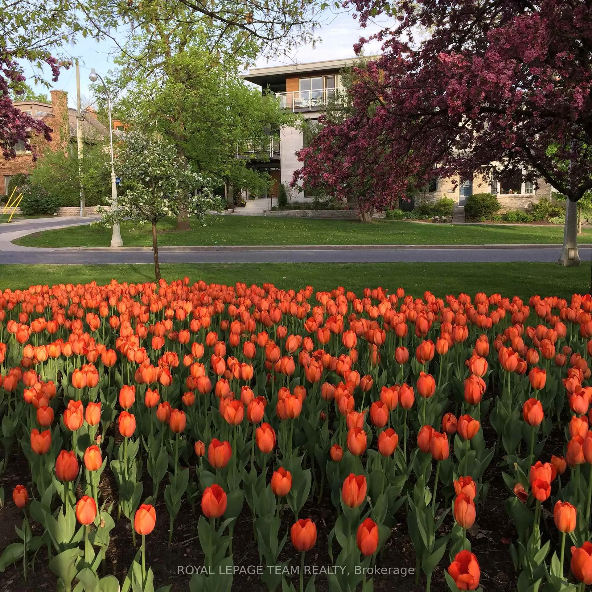 Photo 36 of 5 Rosedale Avenue, Ottawa, Old Ottawa South — HOMEH