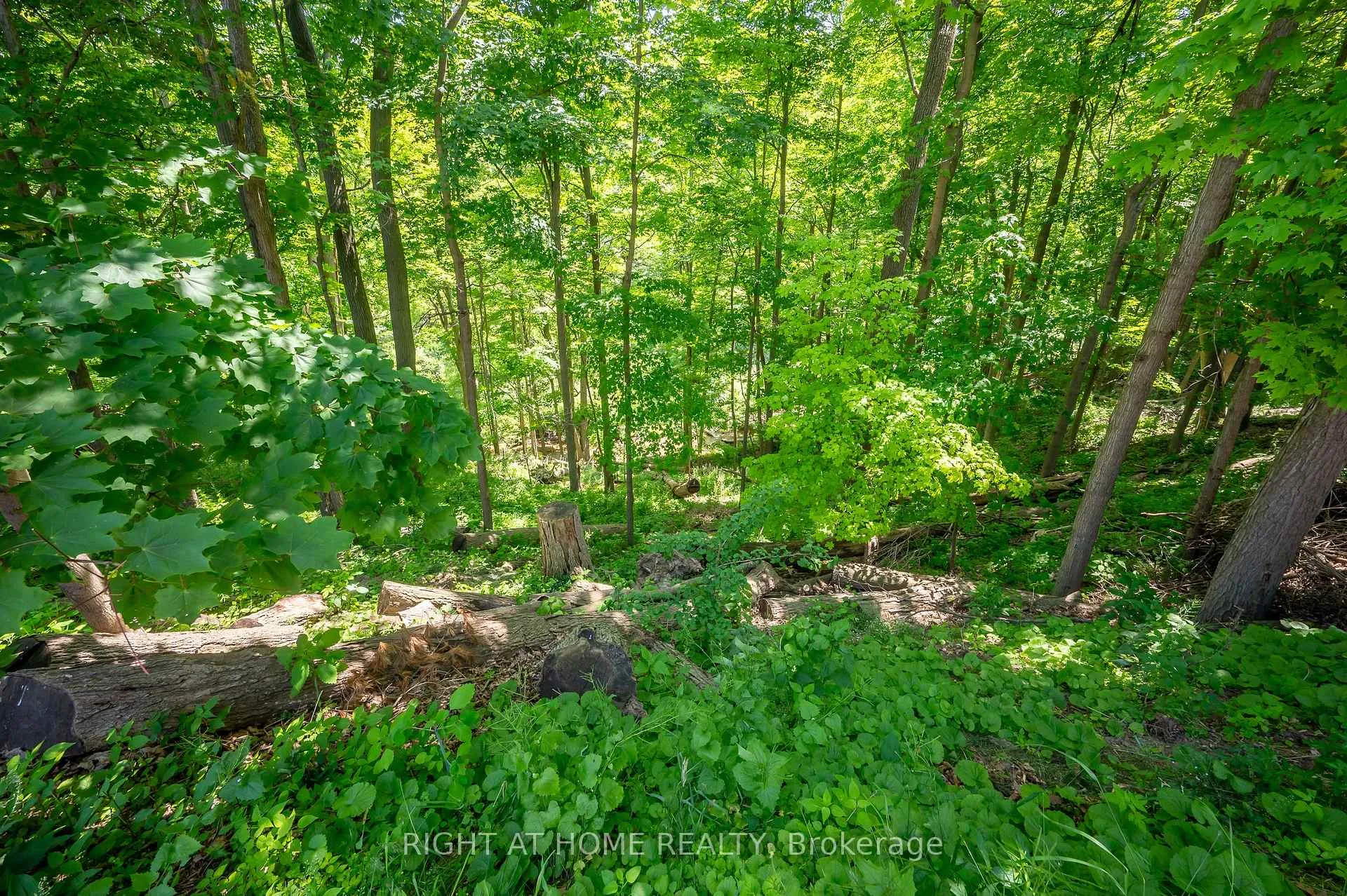Photo 36 of 85 Robinhood Drive, Hamilton, Dundas — HOMEH