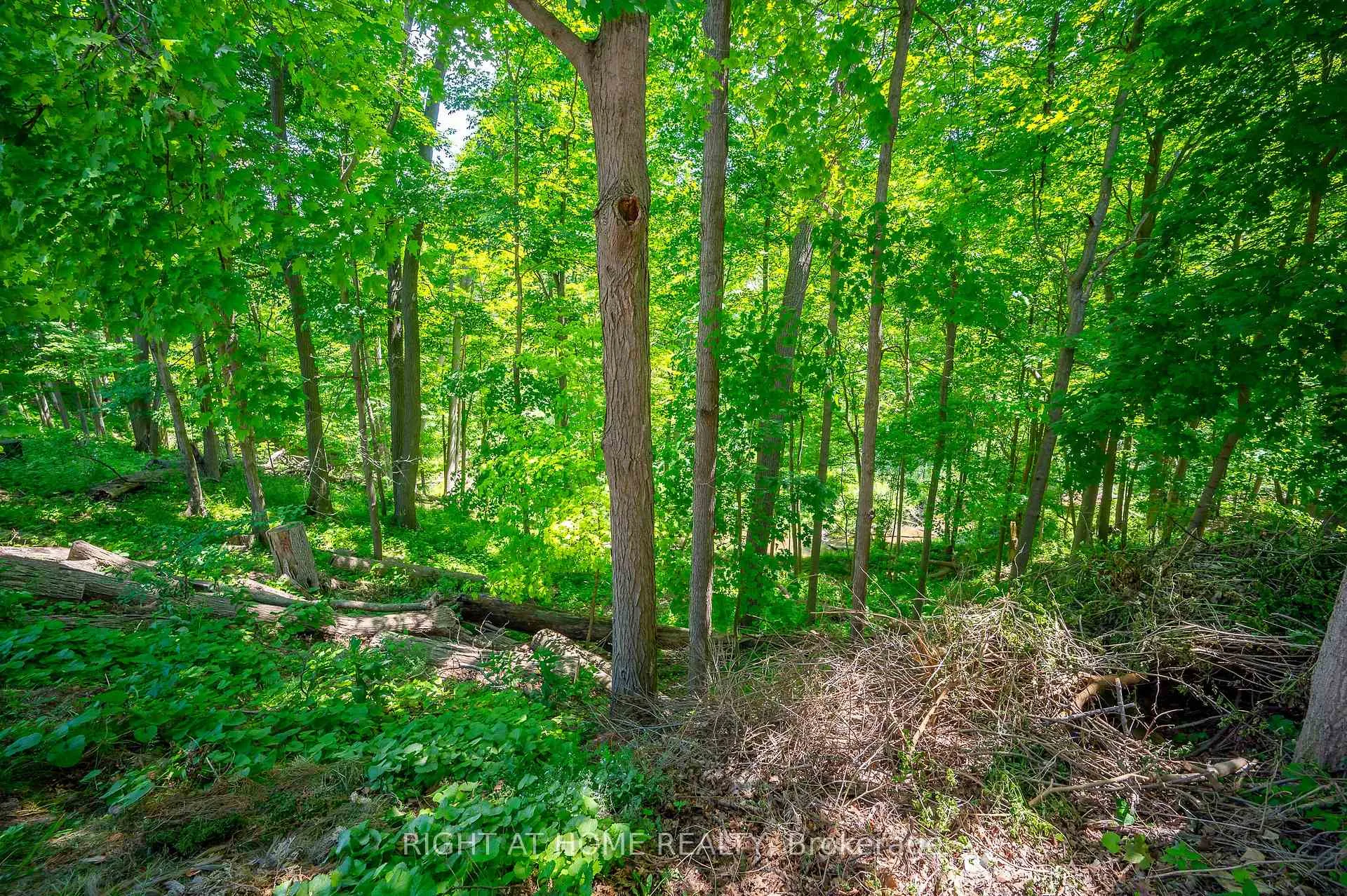 Photo 37 of 85 Robinhood Drive, Hamilton, Dundas — HOMEH