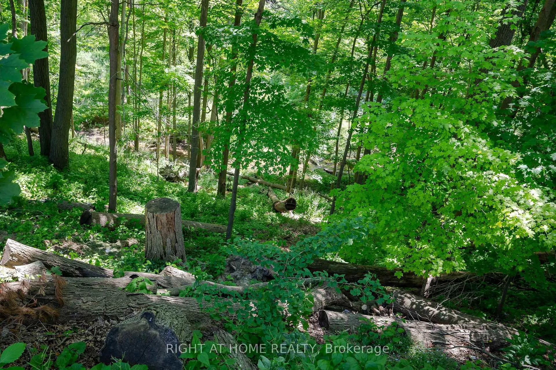 Photo 38 of 85 Robinhood Drive, Hamilton, Dundas — HOMEH