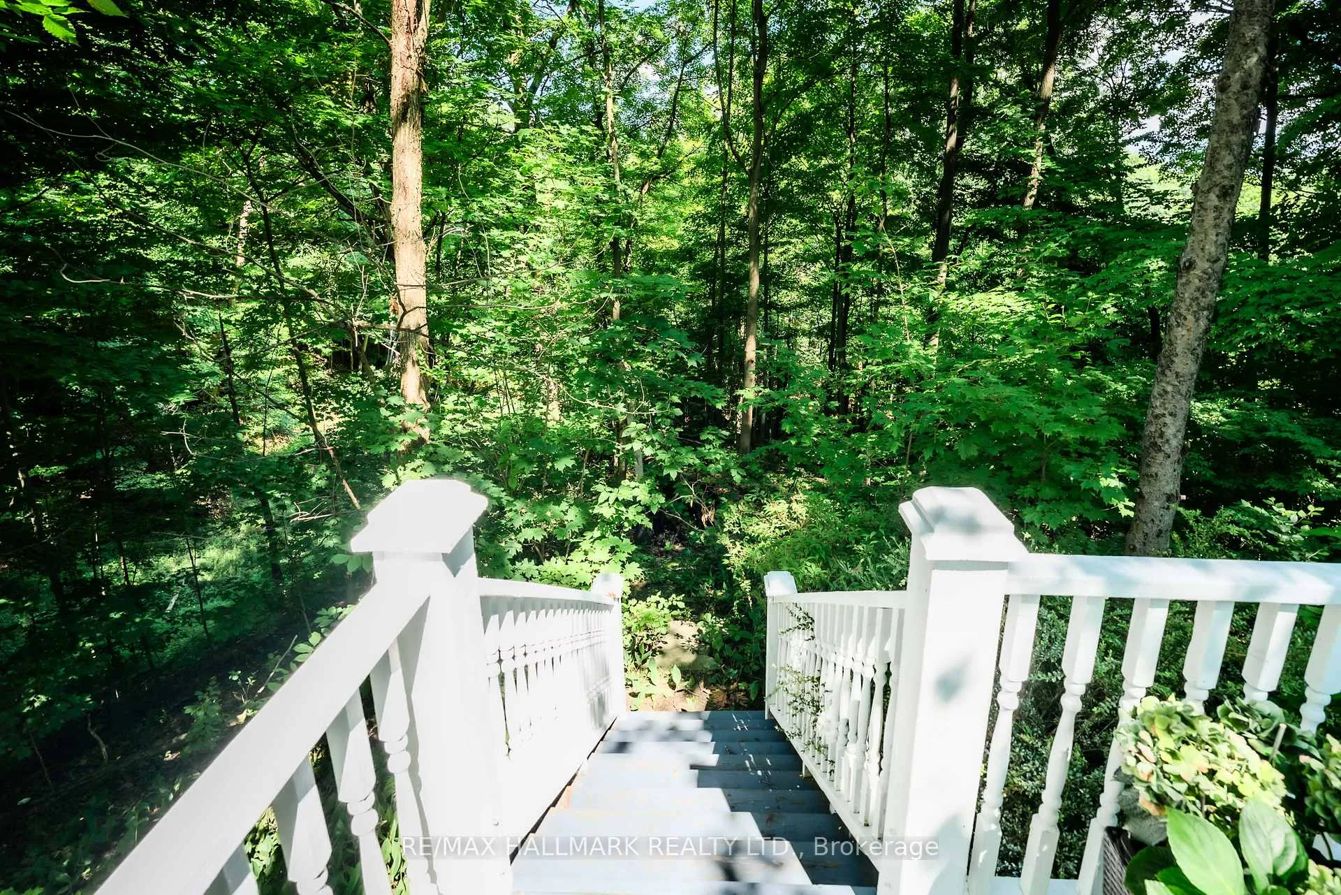 Photo 6 of 738 O'Connor Drive, Toronto, East York — HOMEH