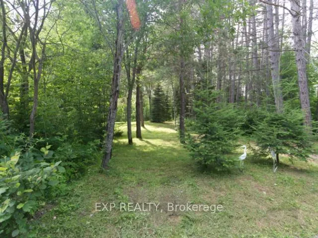 Photo 8 of 954 Rodeo Road, Strong — HOMEH