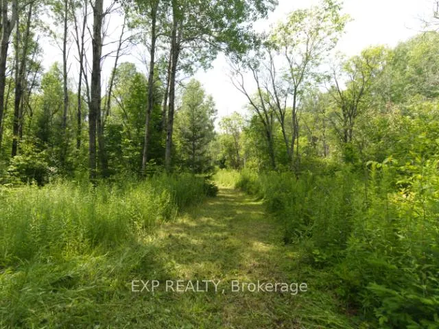 Photo 10 of 954 Rodeo Road, Strong — HOMEH