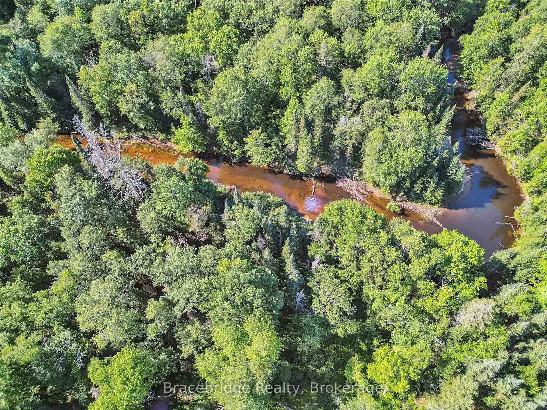 Photo 3 of Hwy 118 E, Bracebridge, Oakley — HOMEH