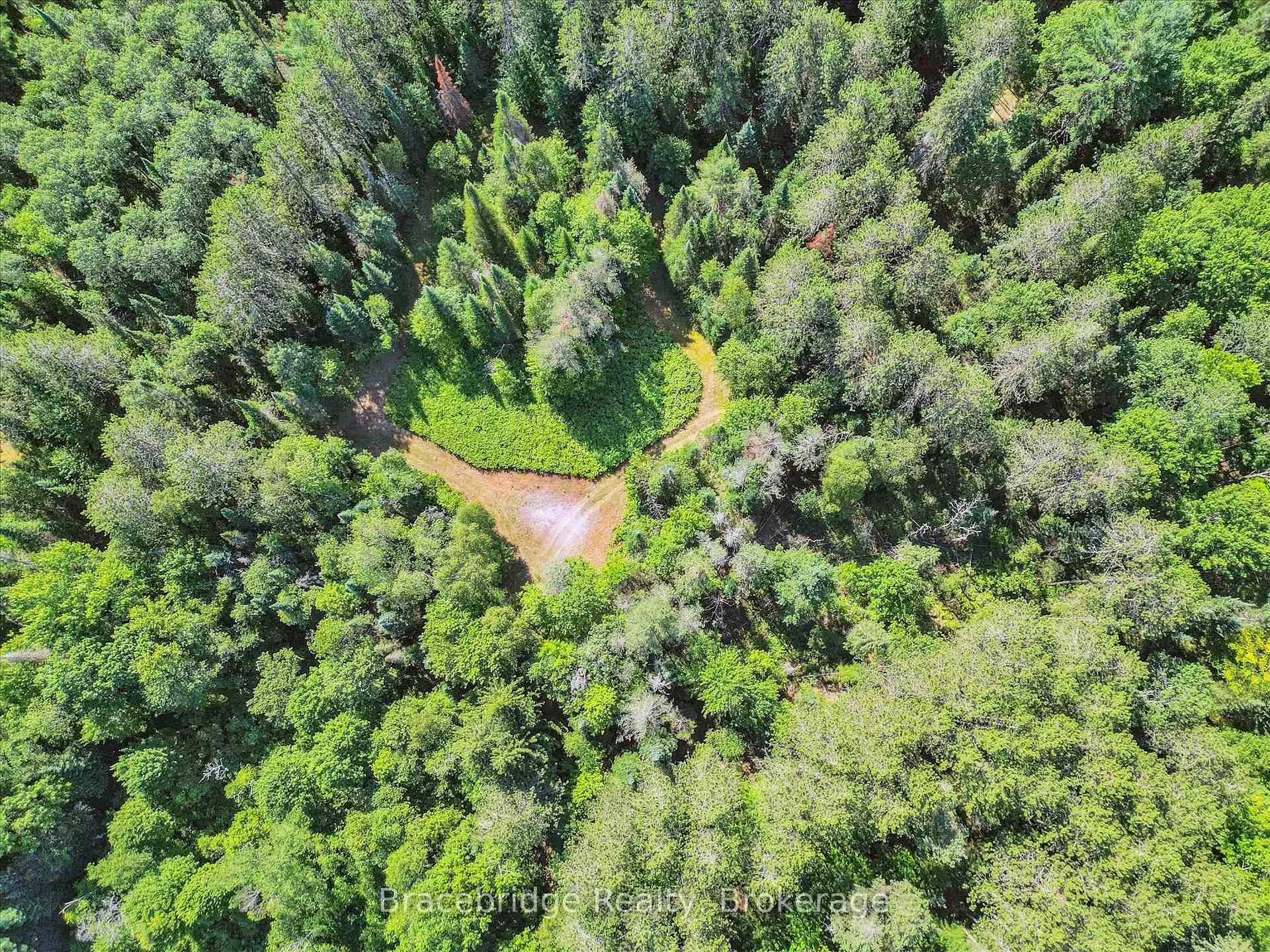 Photo 7 of Hwy 118 E, Bracebridge, Oakley — HOMEH