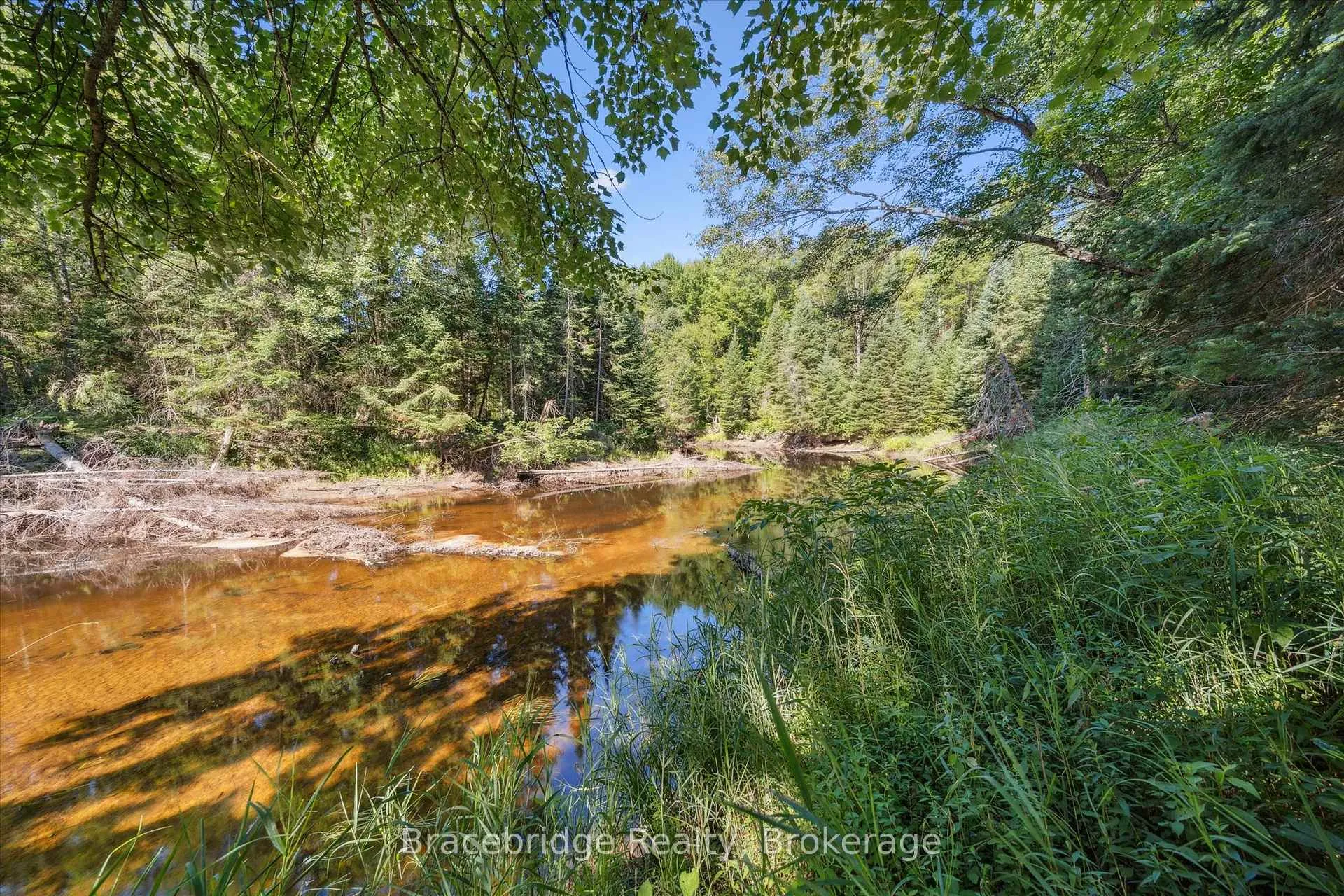 Photo 13 of Hwy 118 E, Bracebridge, Oakley — HOMEH