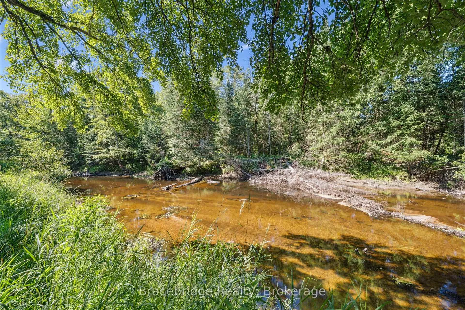Photo 14 of Hwy 118 E, Bracebridge, Oakley — HOMEH