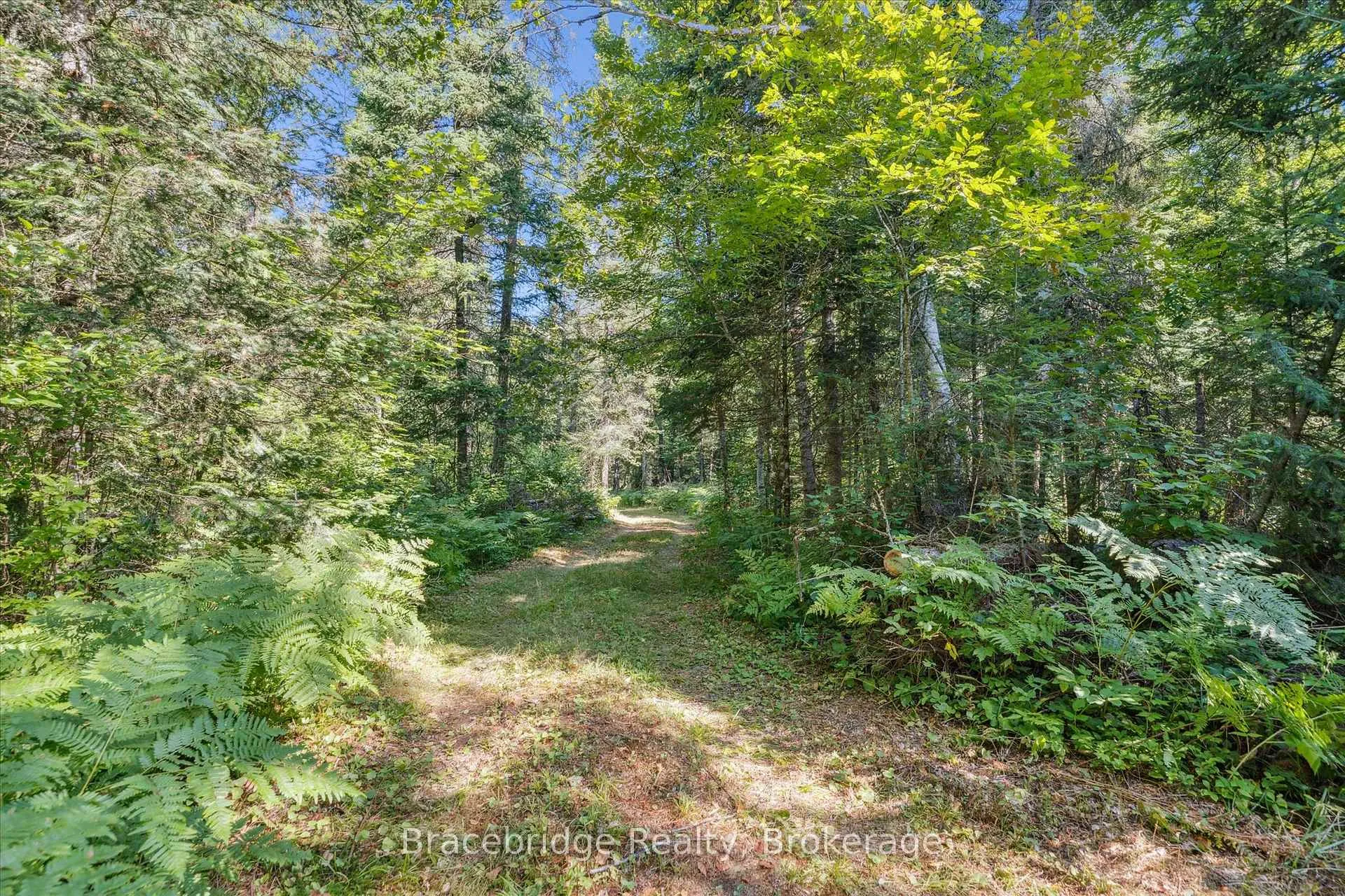 Photo 16 of Hwy 118 E, Bracebridge, Oakley — HOMEH