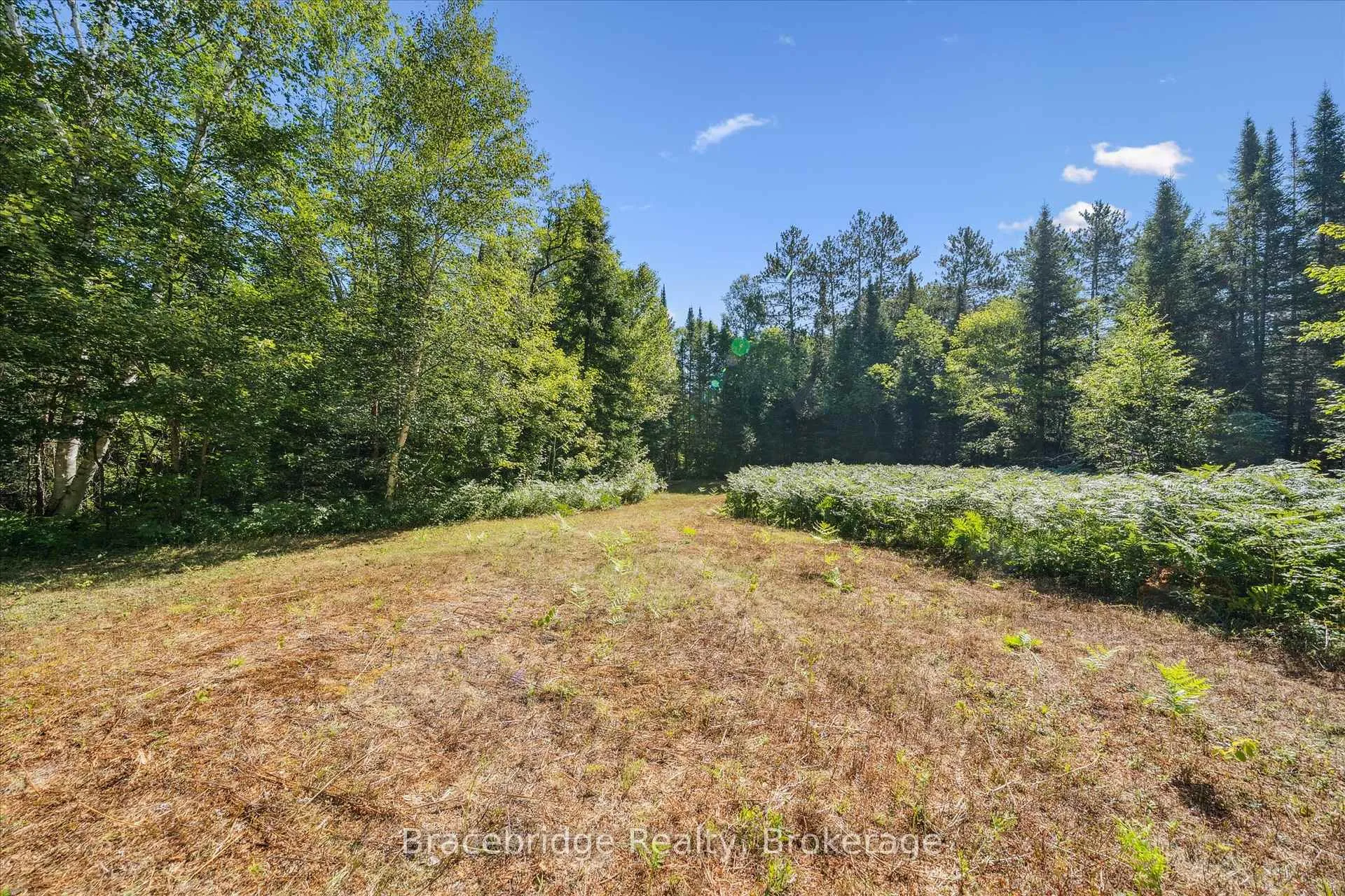 Photo 17 of Hwy 118 E, Bracebridge, Oakley — HOMEH