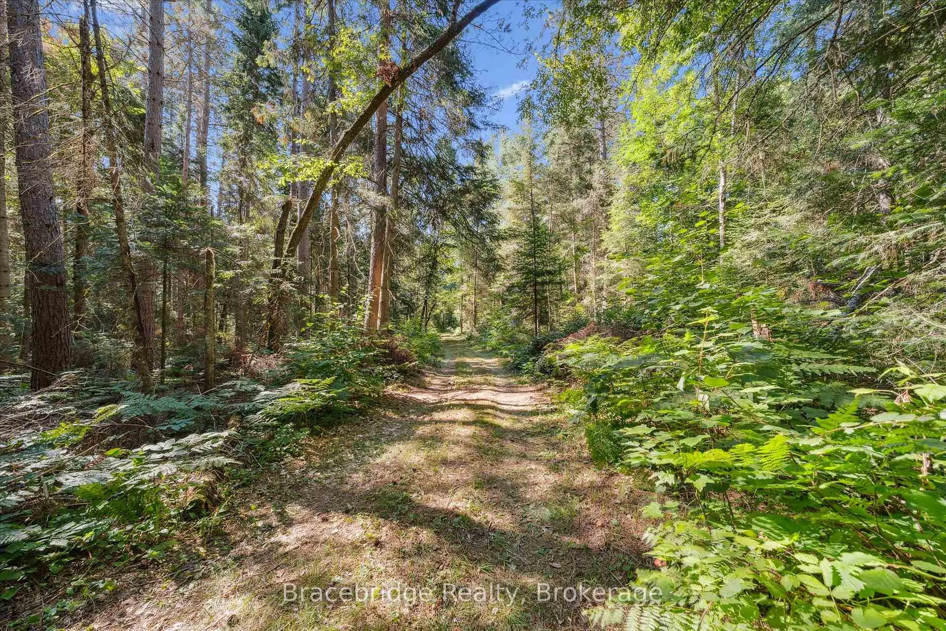 Photo 18 of Hwy 118 E, Bracebridge, Oakley — HOMEH