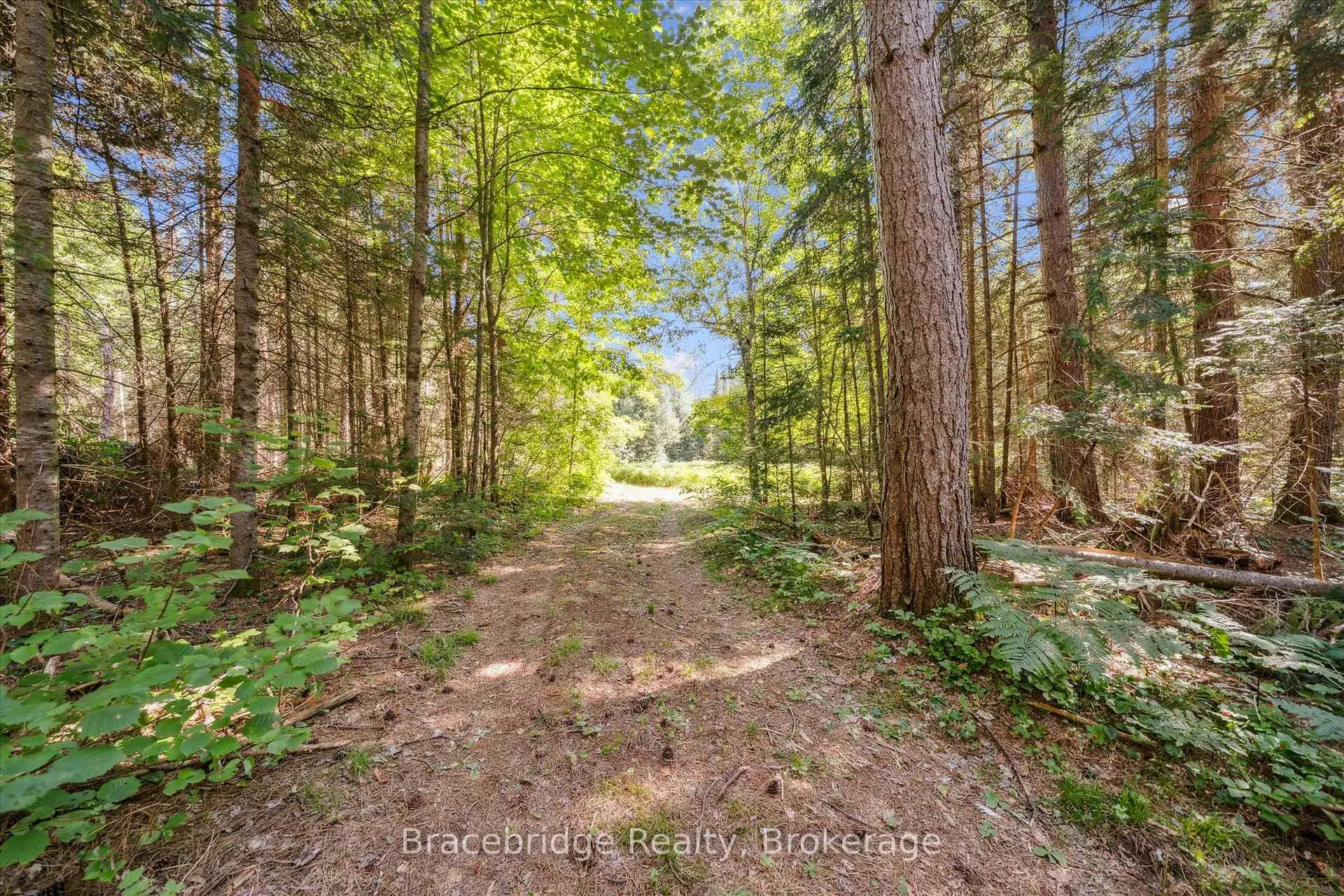 Photo 19 of Hwy 118 E, Bracebridge, Oakley — HOMEH