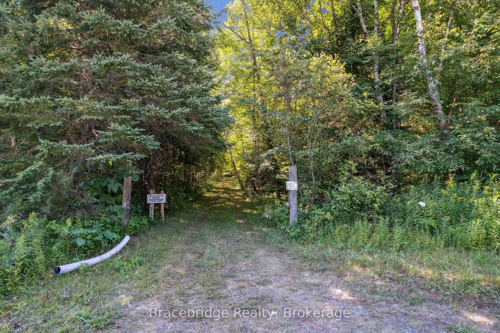 Photo 20 of Hwy 118 E, Bracebridge, Oakley — HOMEH