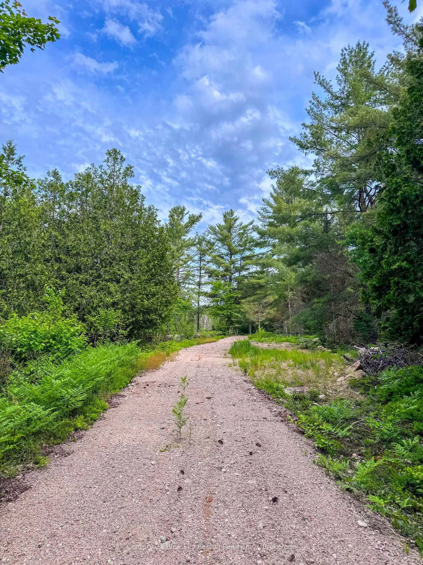Photo 9 of PT LOT 10 Highway 531, Bonfield — HOMEH