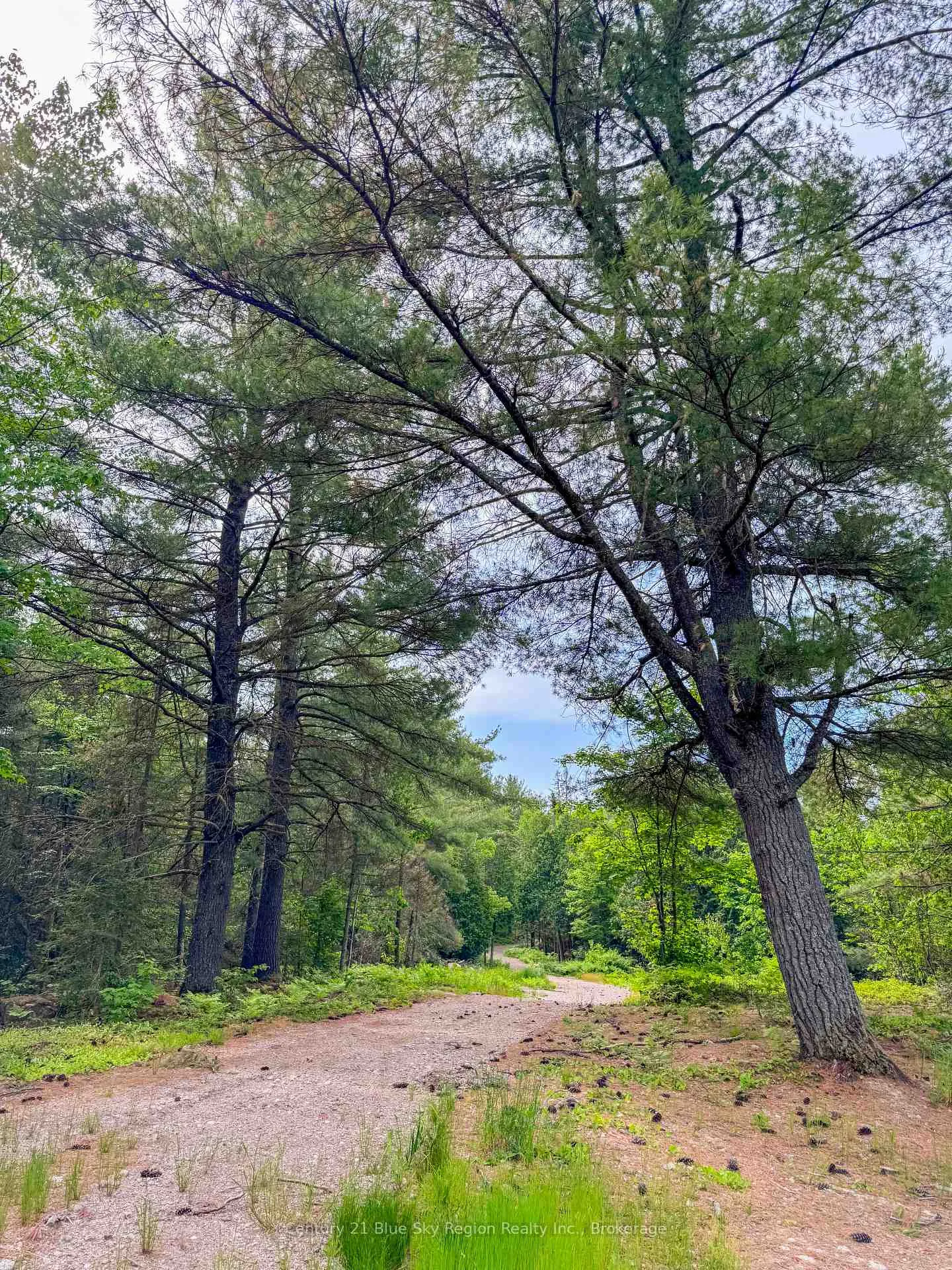 Photo 10 of PT LOT 10 Highway 531, Bonfield — HOMEH