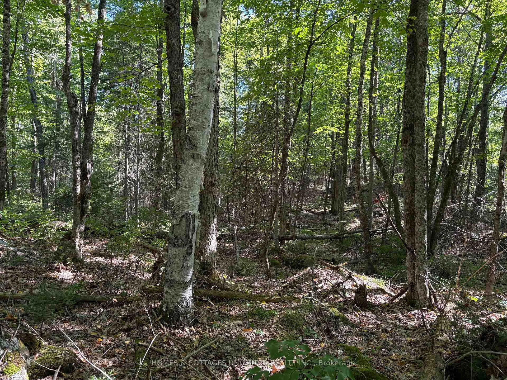 Photo 2 of Reids Road, Lanark Highlands, Lanark Highlands (Lanark) Twp — HOMEH