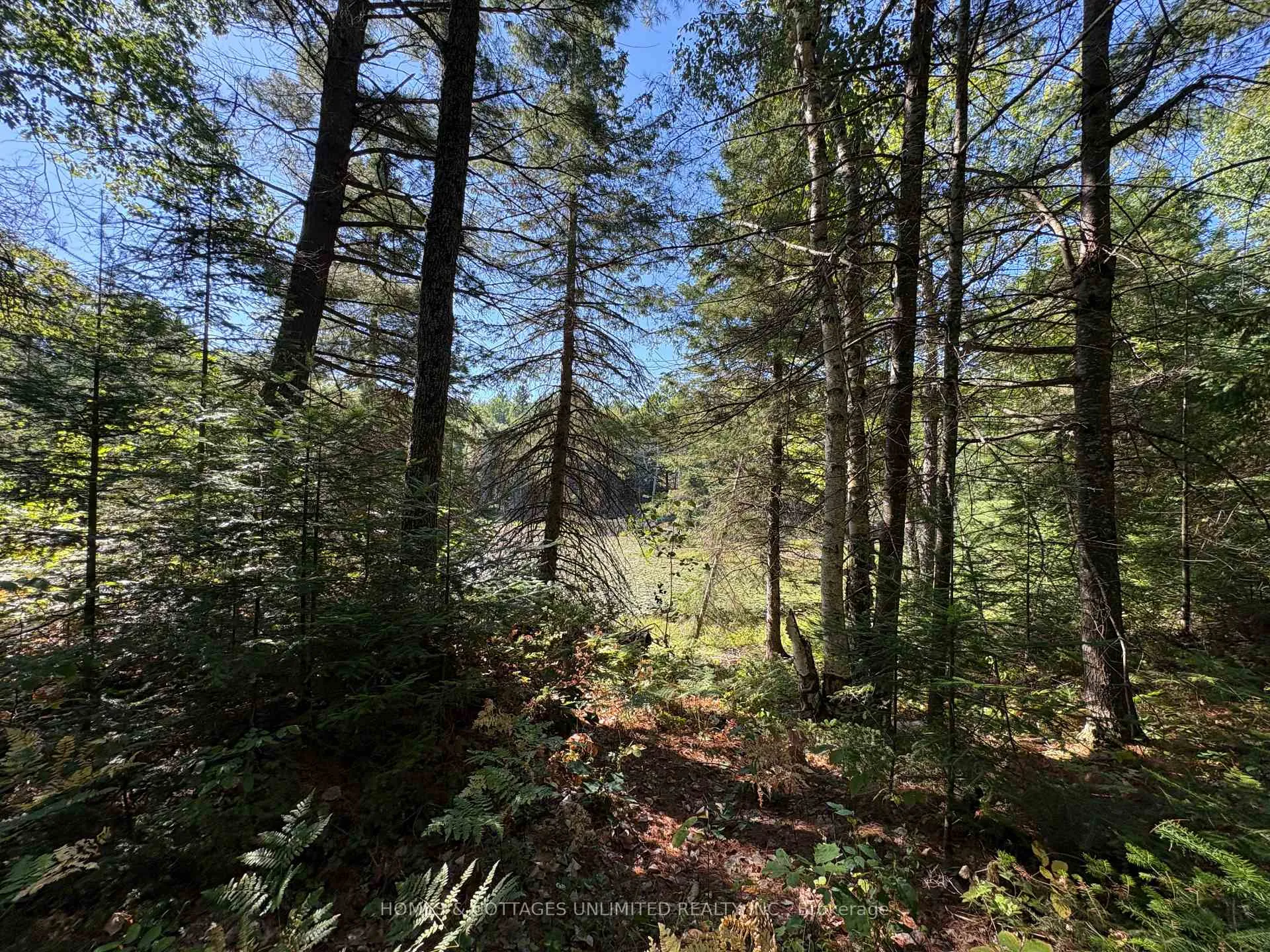 Photo 3 of Reids Road, Lanark Highlands, Lanark Highlands (Lanark) Twp — HOMEH