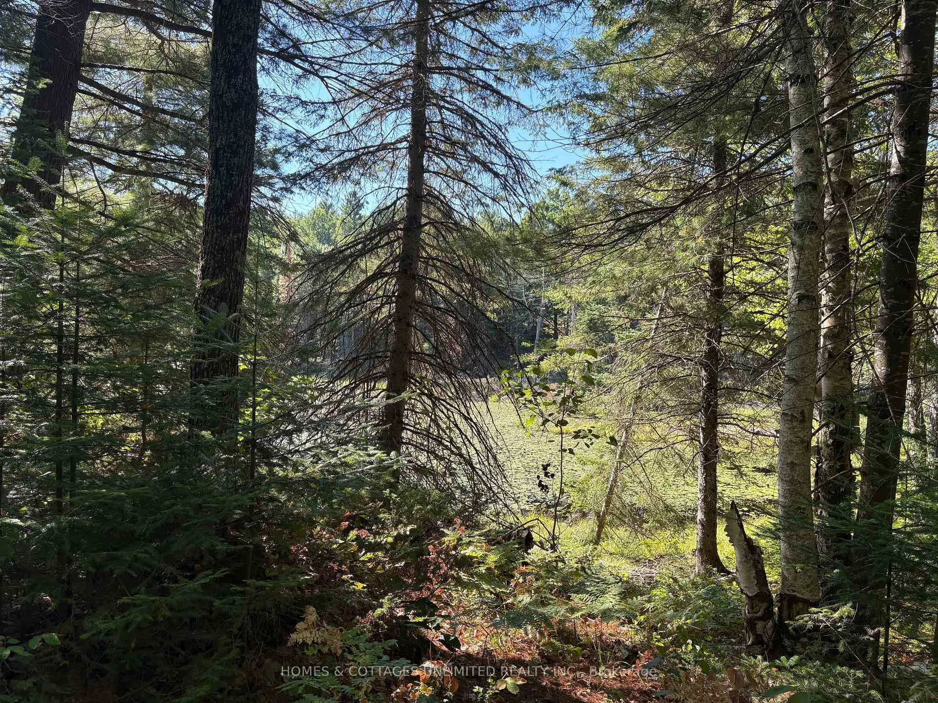 Photo 4 of Reids Road, Lanark Highlands, Lanark Highlands (Lanark) Twp — HOMEH