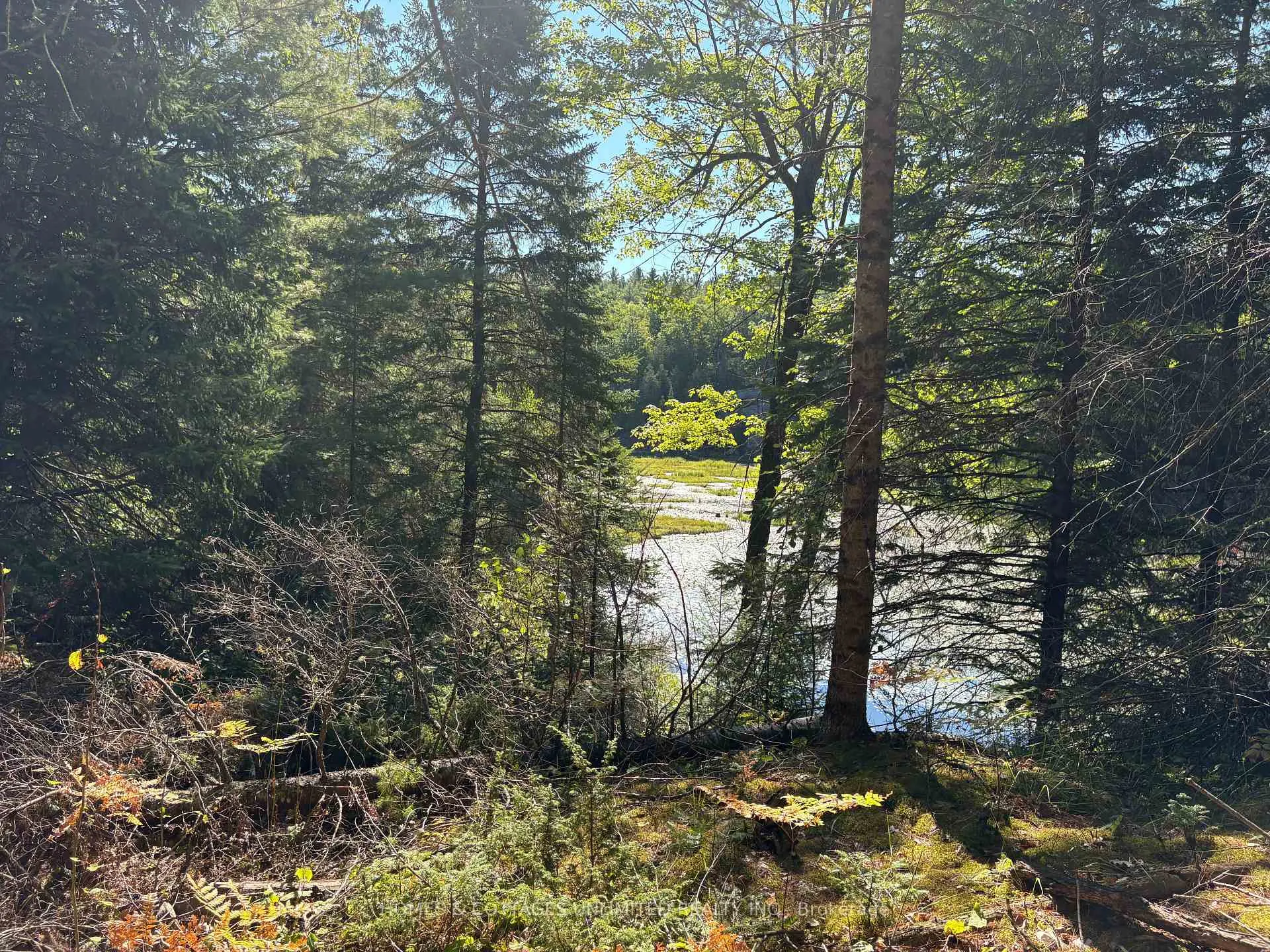 Photo 5 of Reids Road, Lanark Highlands, Lanark Highlands (Lanark) Twp — HOMEH